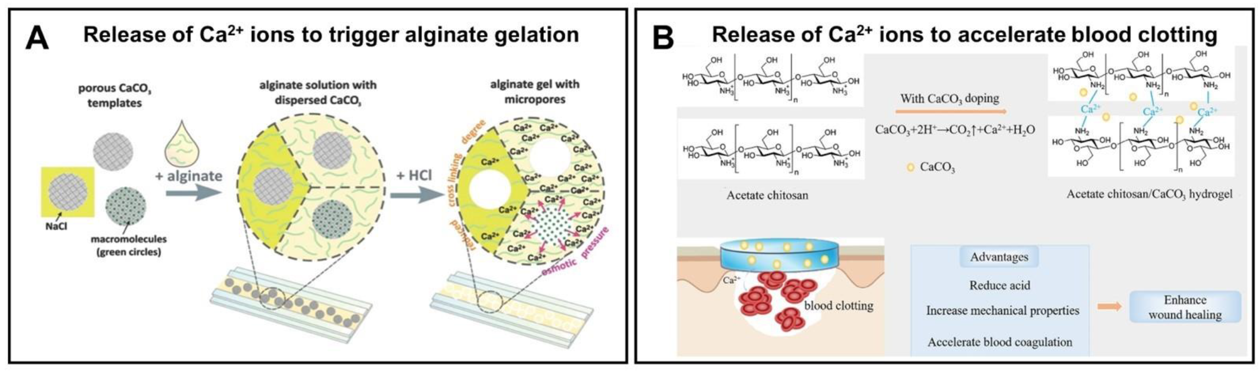 Pharmaceutics 15 02574 g012