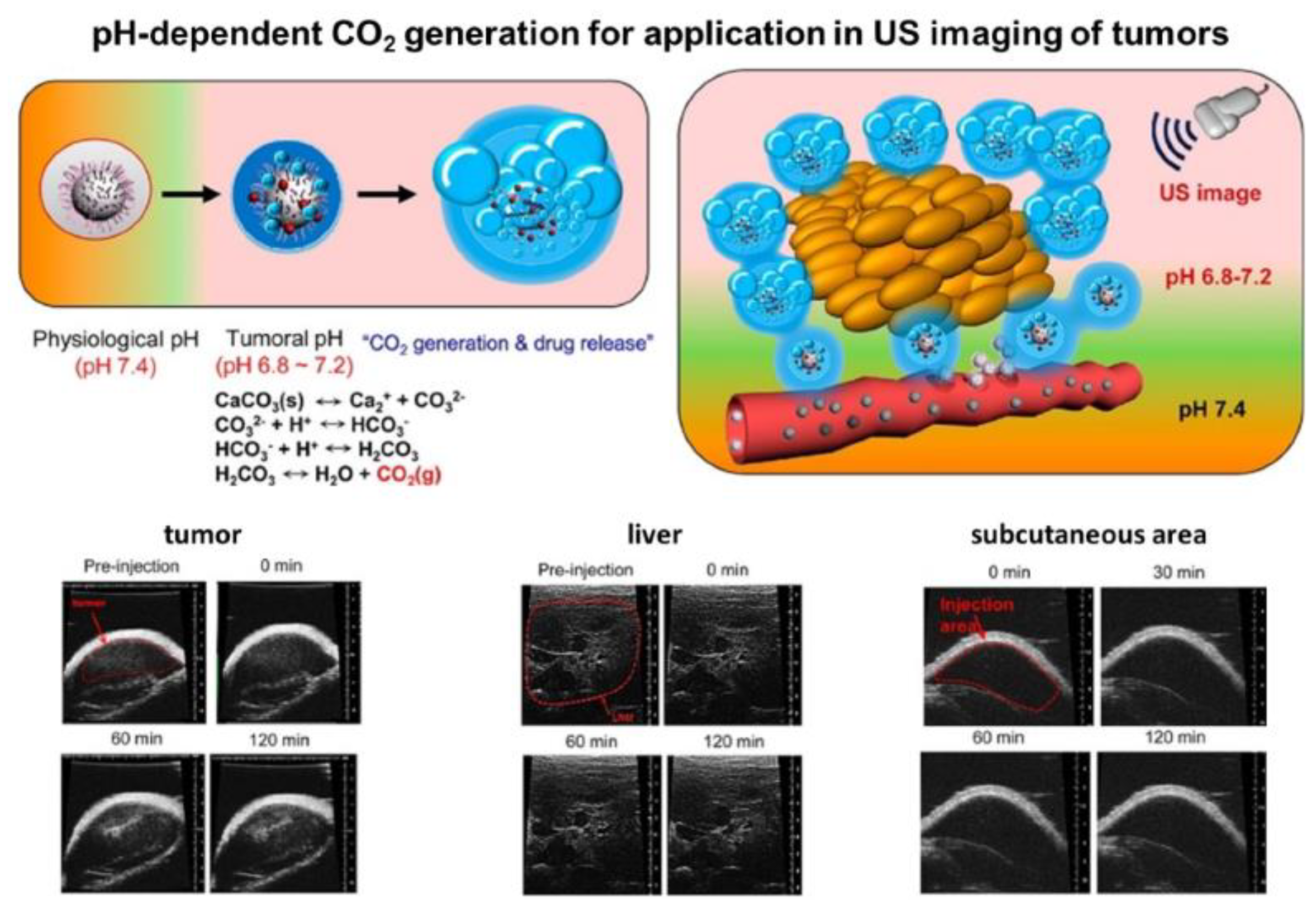 Pharmaceutics 15 02574 g013