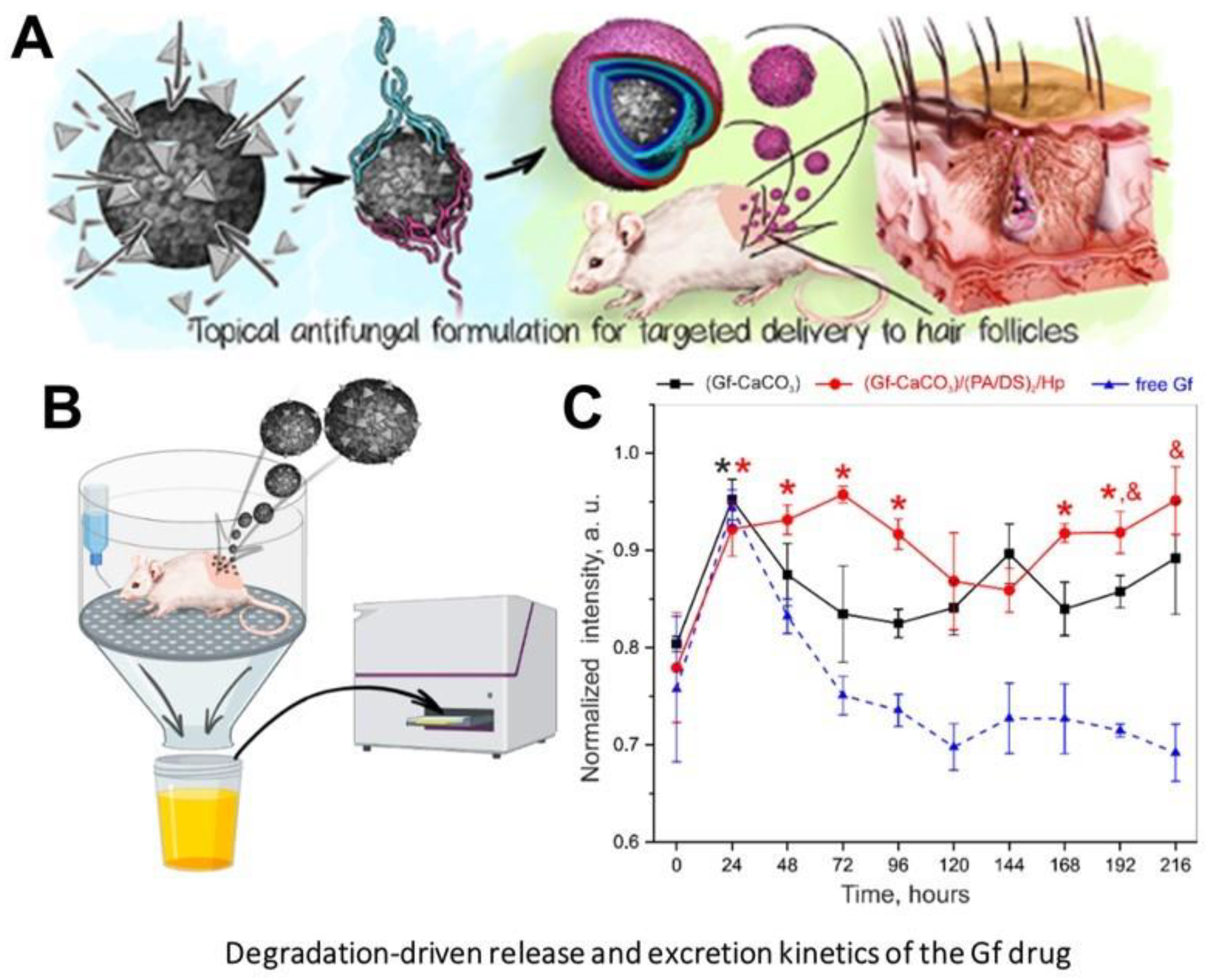 Pharmaceutics 15 02574 g018