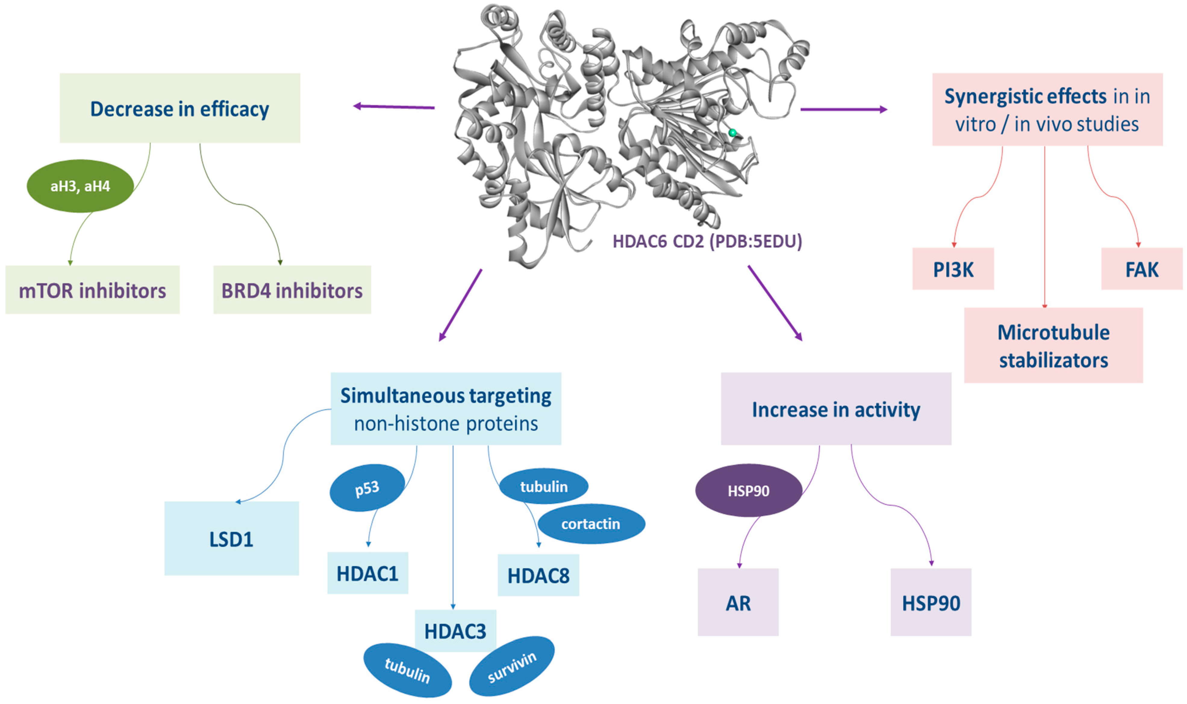 Pharmaceutics 15 02581 g003