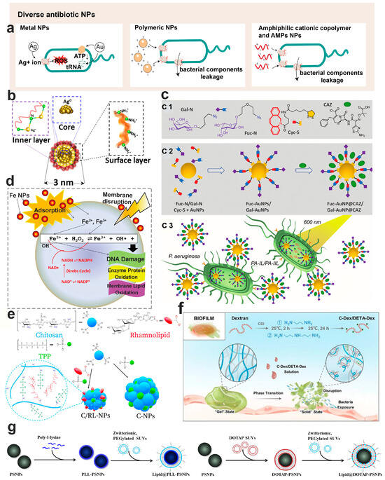 Kartoon Mable and the Wood (2019) - MobyGames