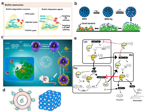 Nanotechnology-Based Drug Delivery Systems to Control