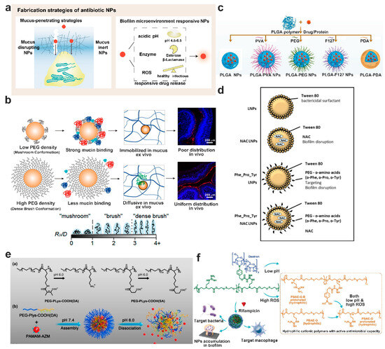 Nanotechnology-Based Drug Delivery Systems to Control