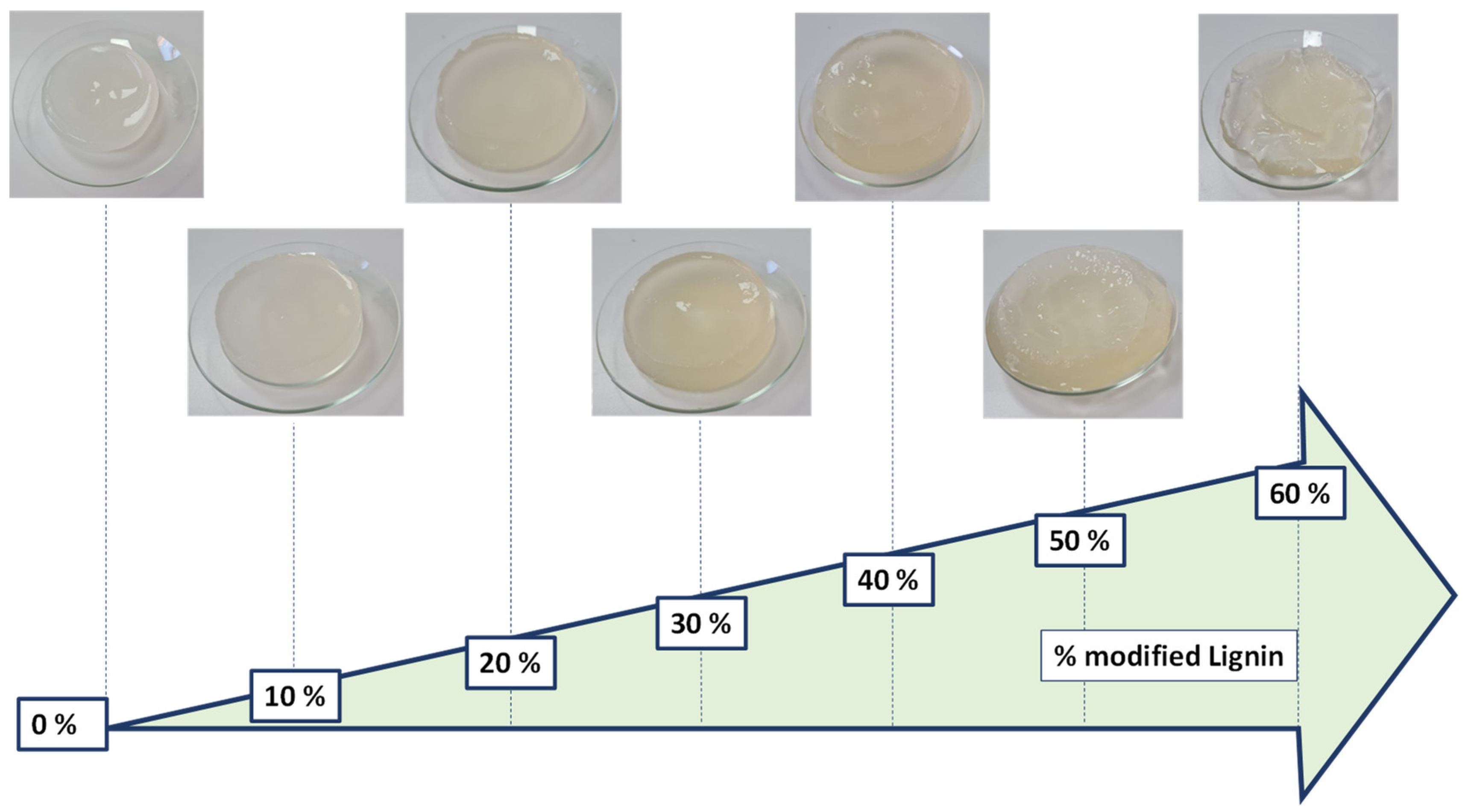 Pharmaceutics 15 02588 g002