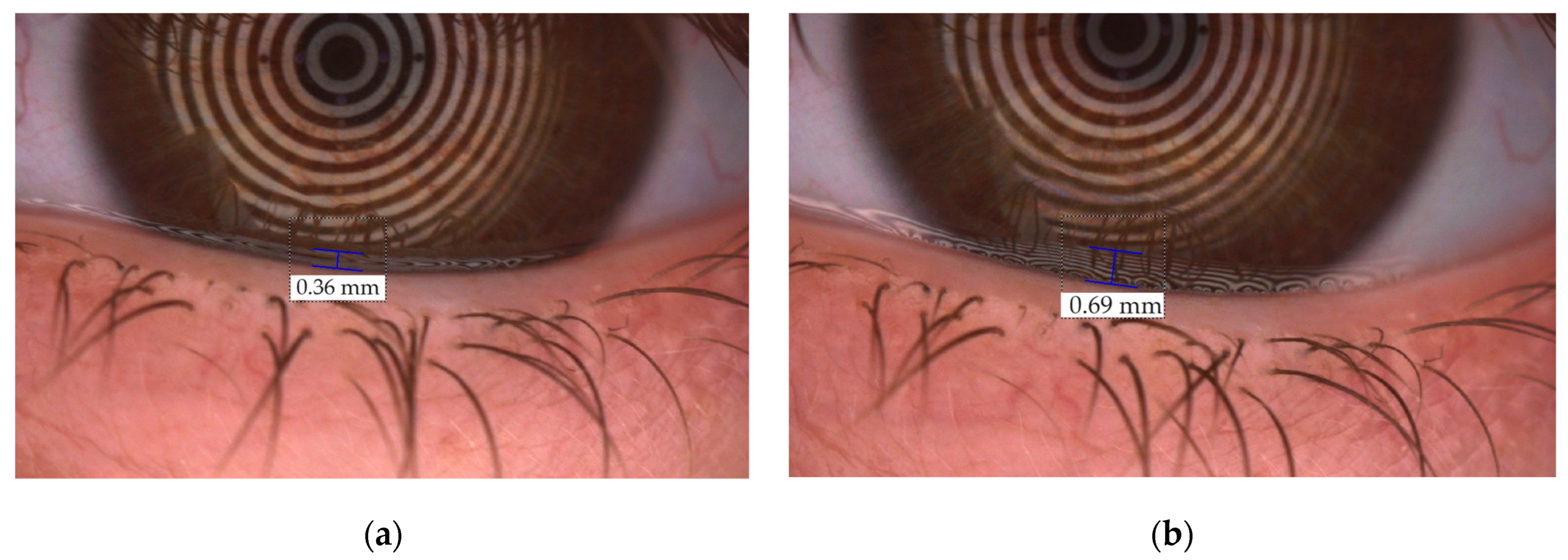 Pharmaceutics 15 02589 g005