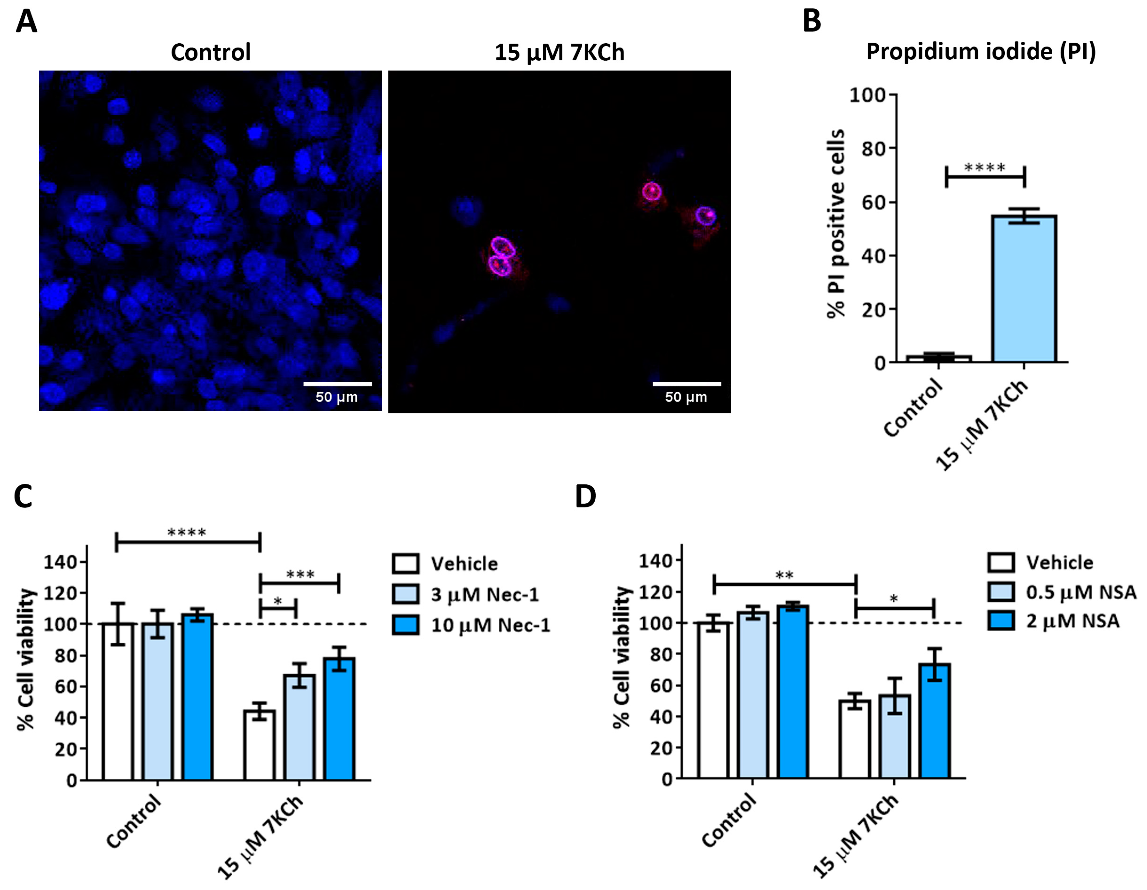 Pharmaceutics 15 02590 g004 Pharmaceutics 15 02590 g004