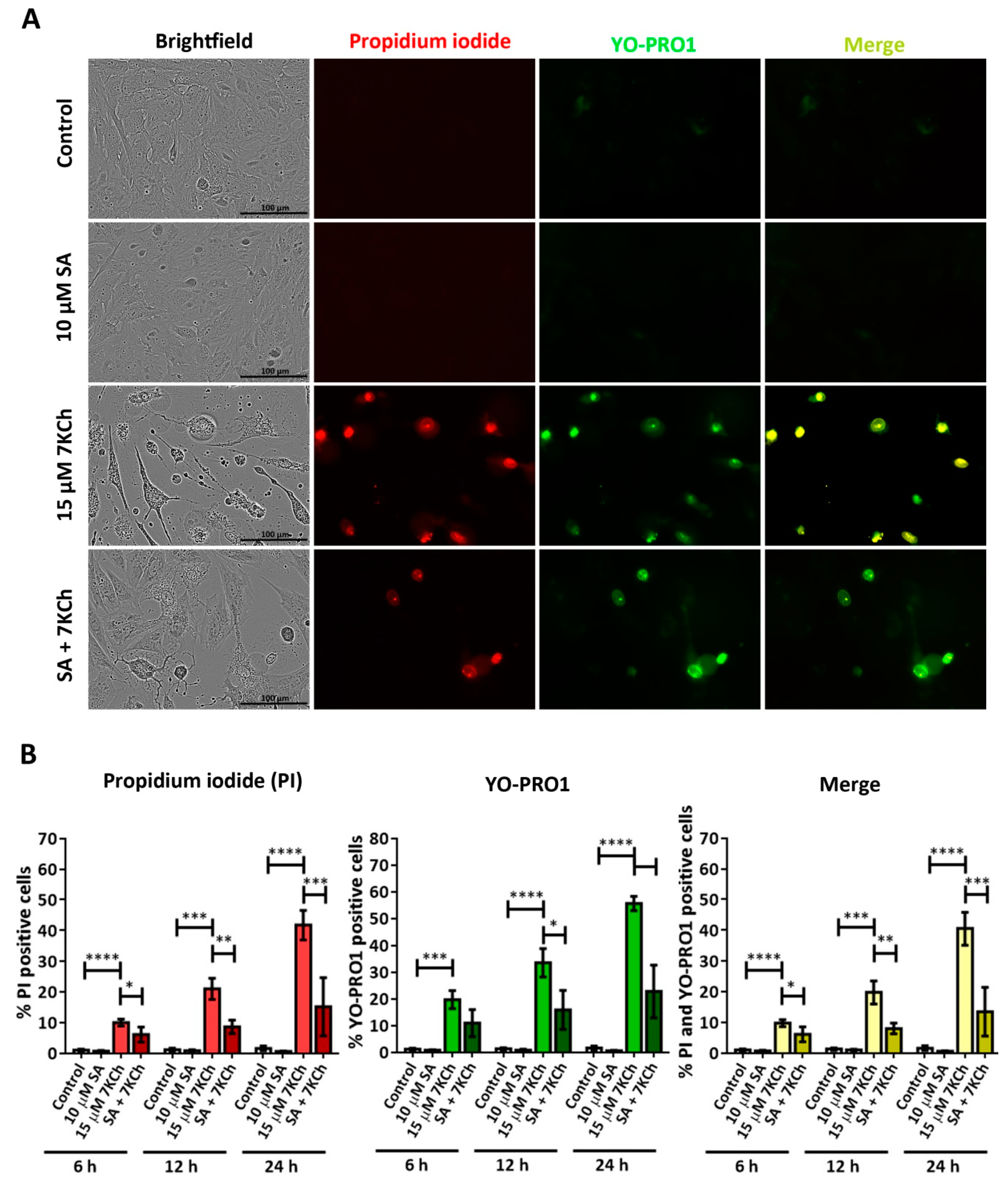 Pharmaceutics 15 02590 g007 Pharmaceutics 15 02590 g007