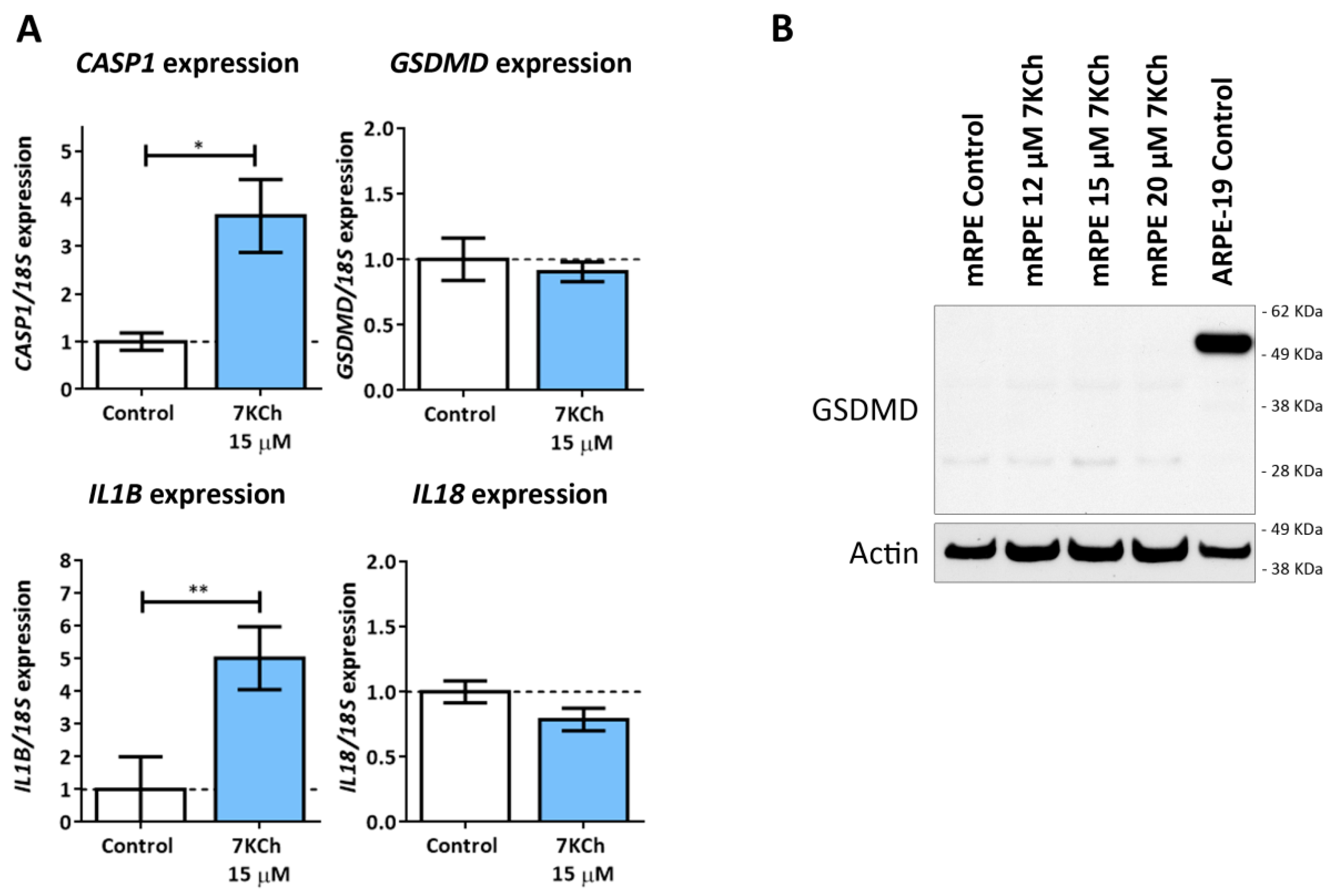 Pharmaceutics 15 02590 g009 Pharmaceutics 15 02590 g009