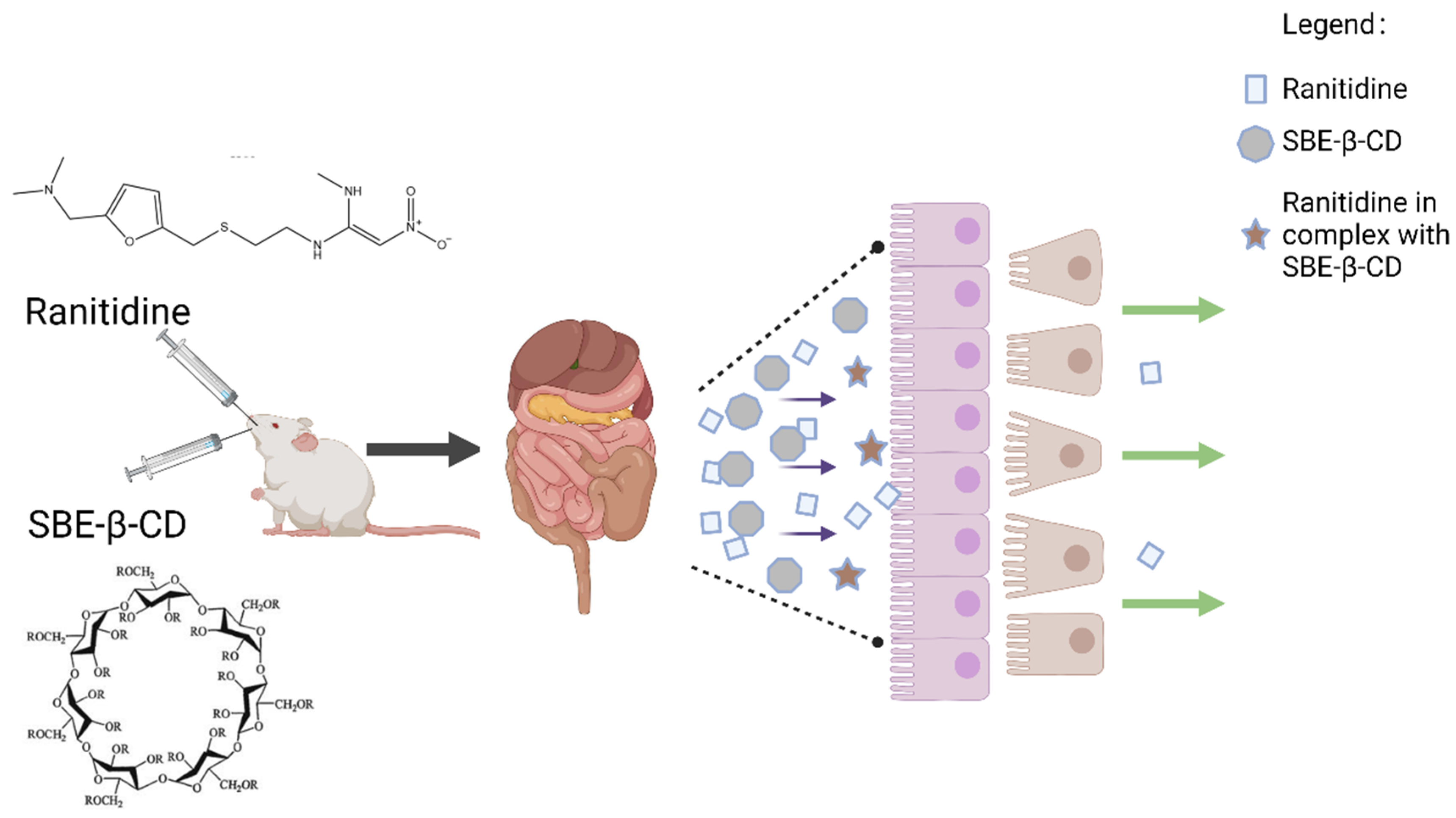 Pharmaceutics 15 02593 g001