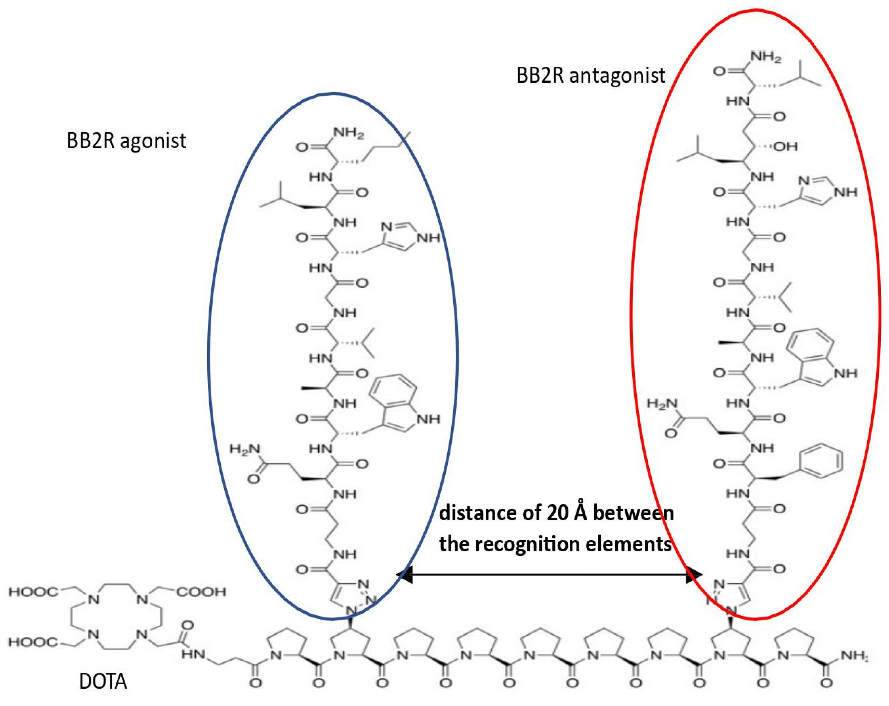 Pharmaceutics 15 02597 g005