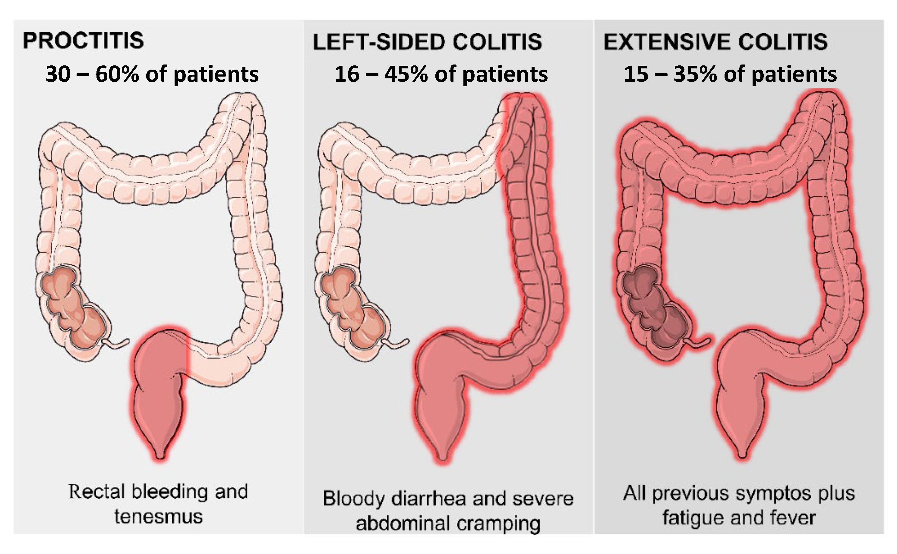 Pharmaceutics 15 02600 g001