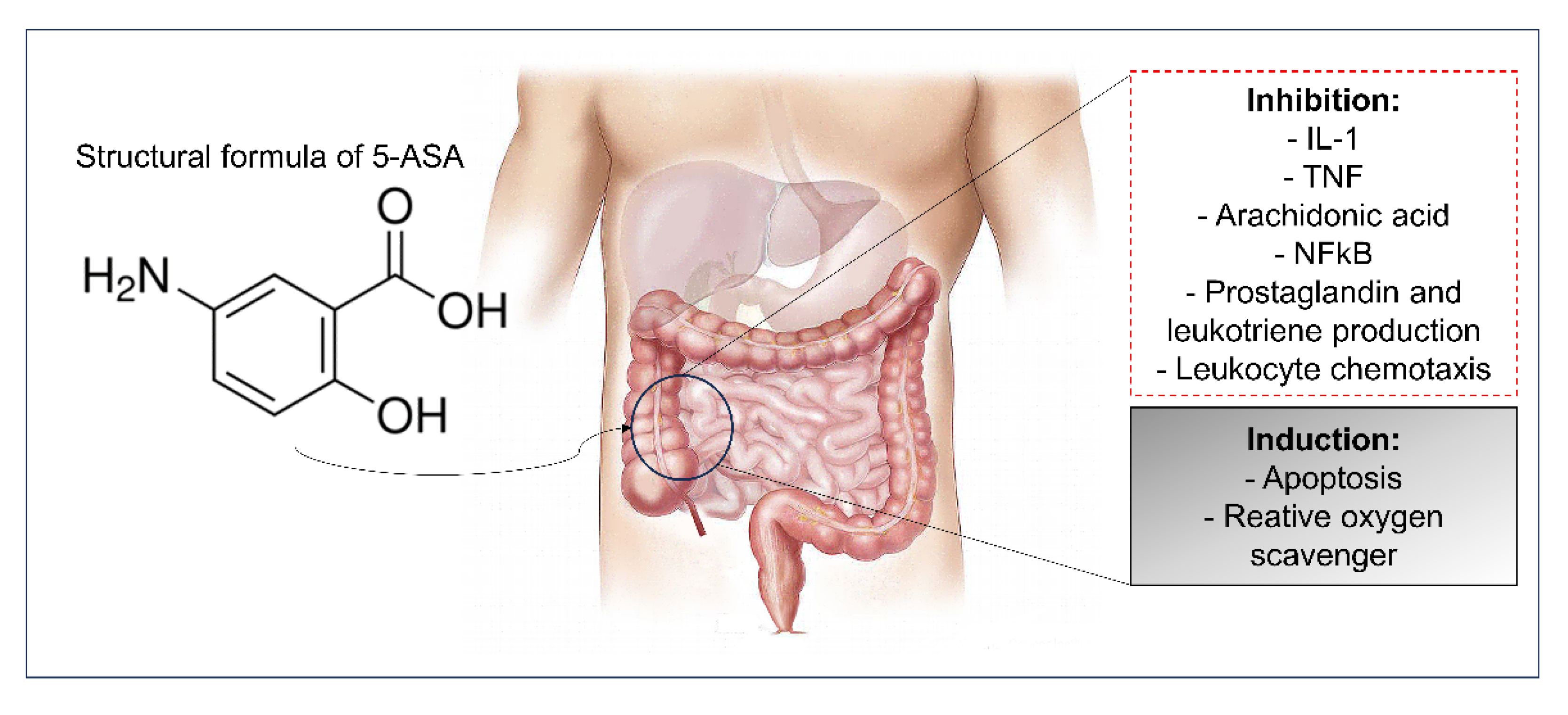 Pharmaceutics 15 02600 g003