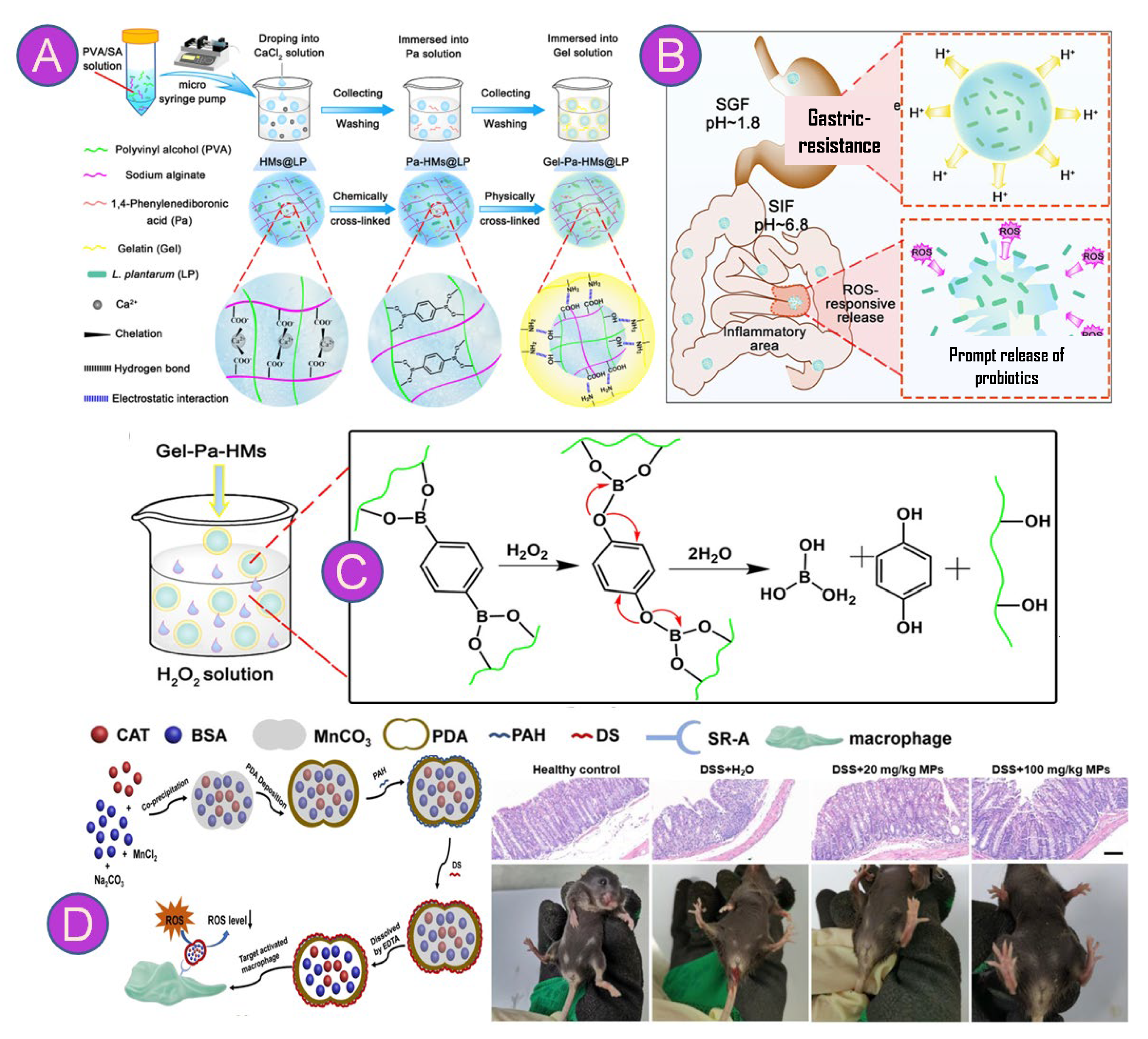 Pharmaceutics 15 02600 g004