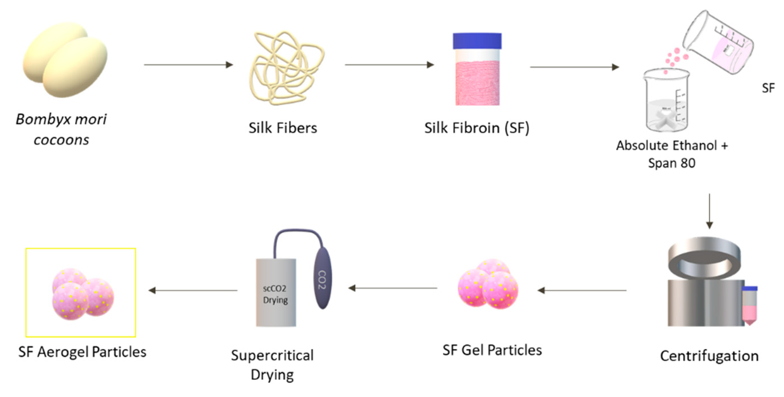 Pharmaceutics 15 02605 g001