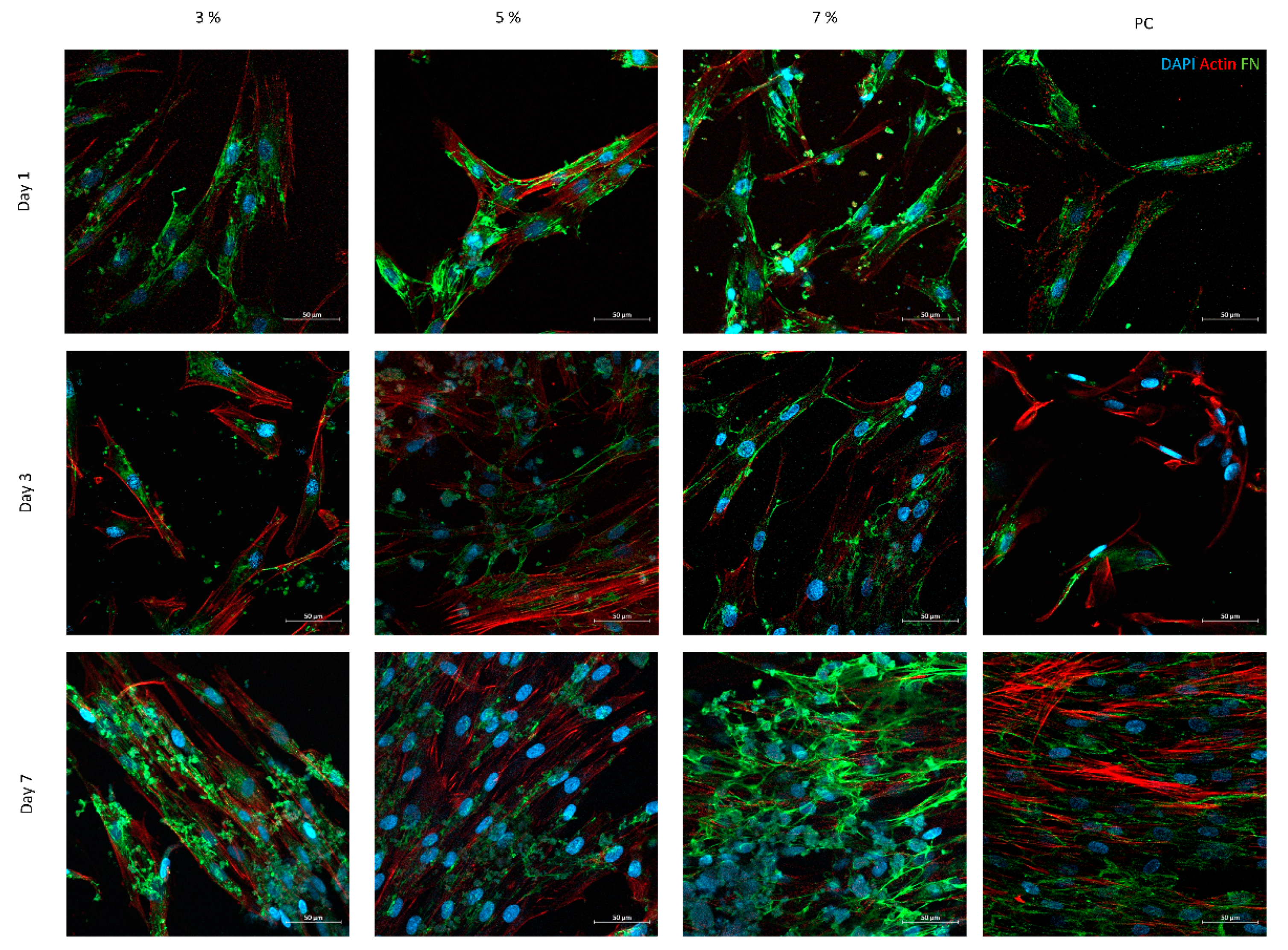 Pharmaceutics 15 02605 g007