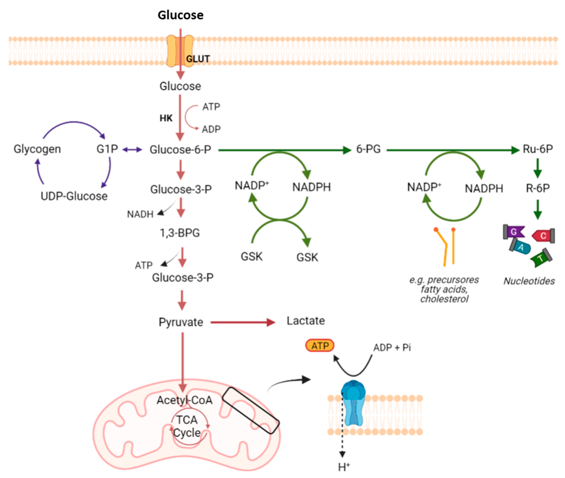 Pharmaceutics 15 02610 g001 Pharmaceutics 15 02610 g001