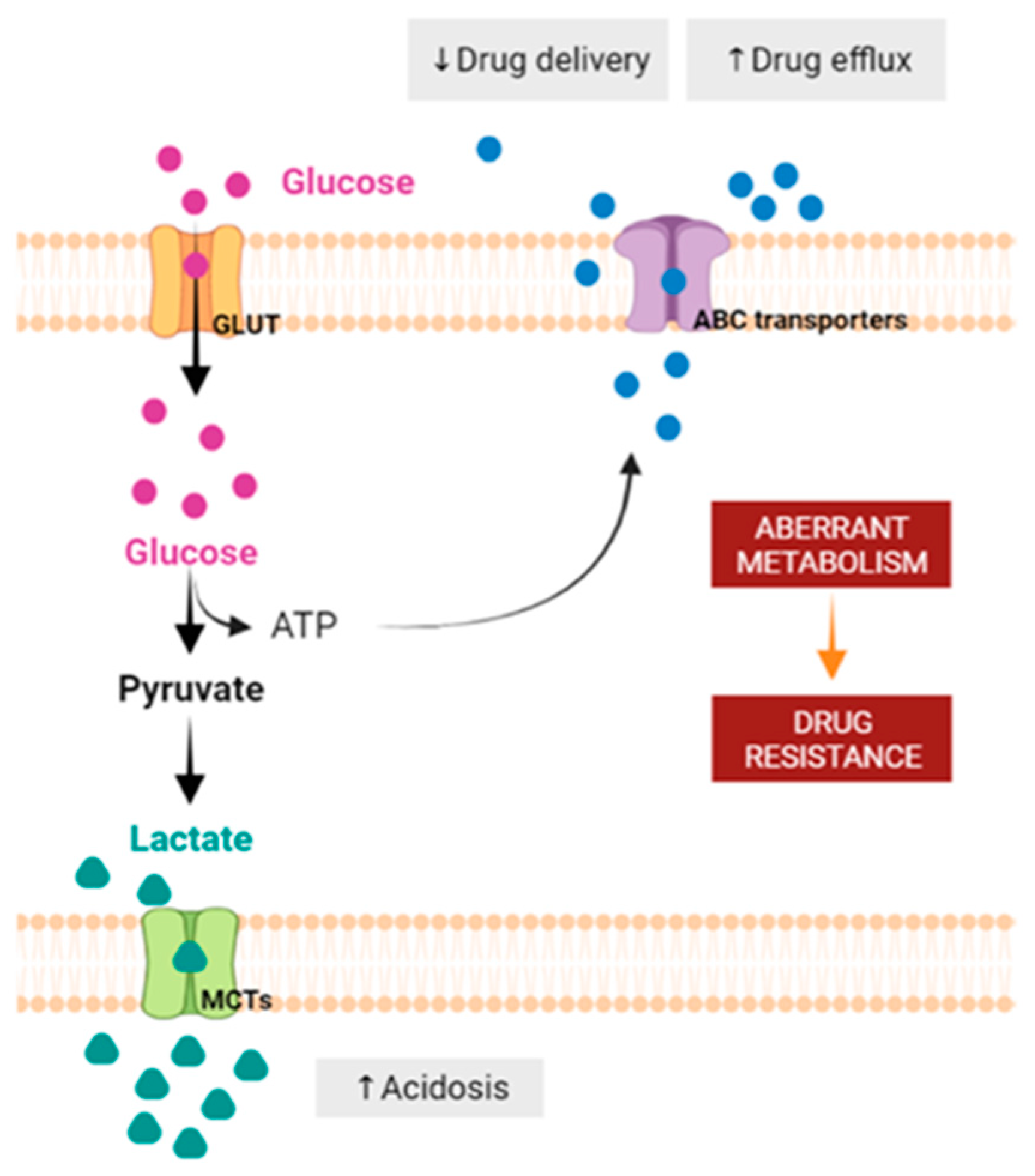 Pharmaceutics 15 02610 g005 Pharmaceutics 15 02610 g005