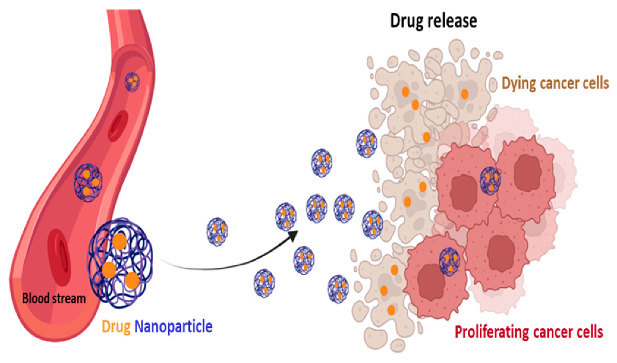 Pharmaceutics 15 02610 g007 Pharmaceutics 15 02610 g007