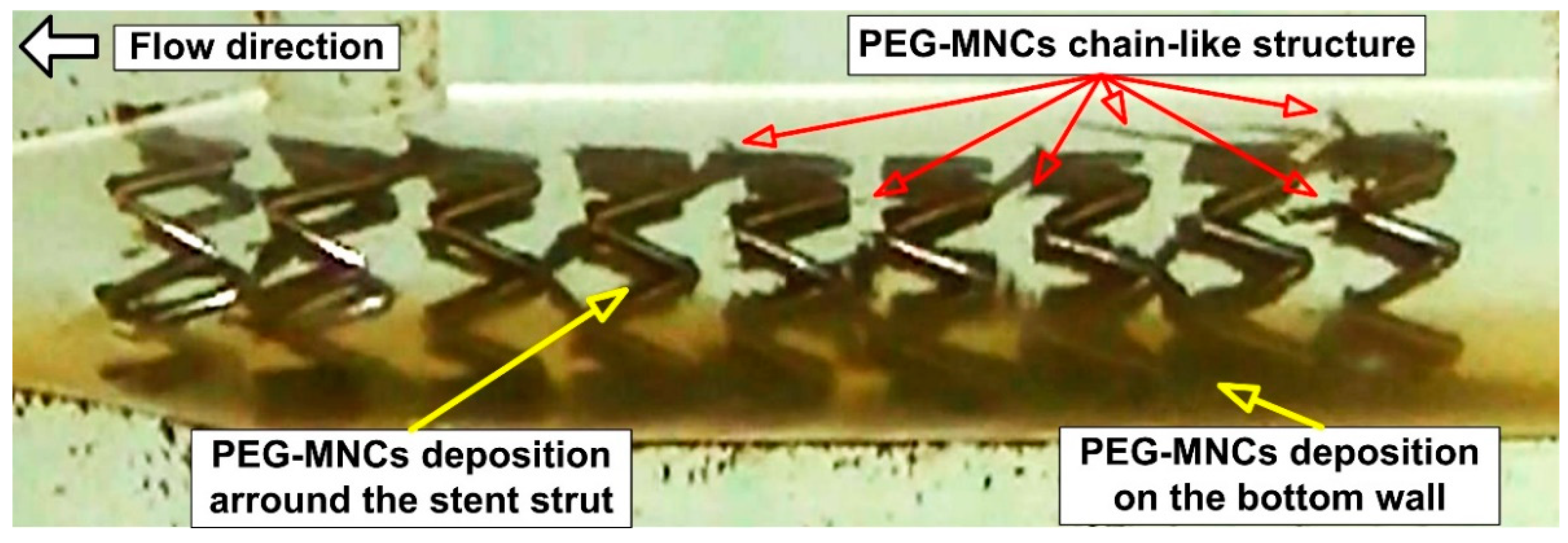 Pharmaceutics 15 02612 g001