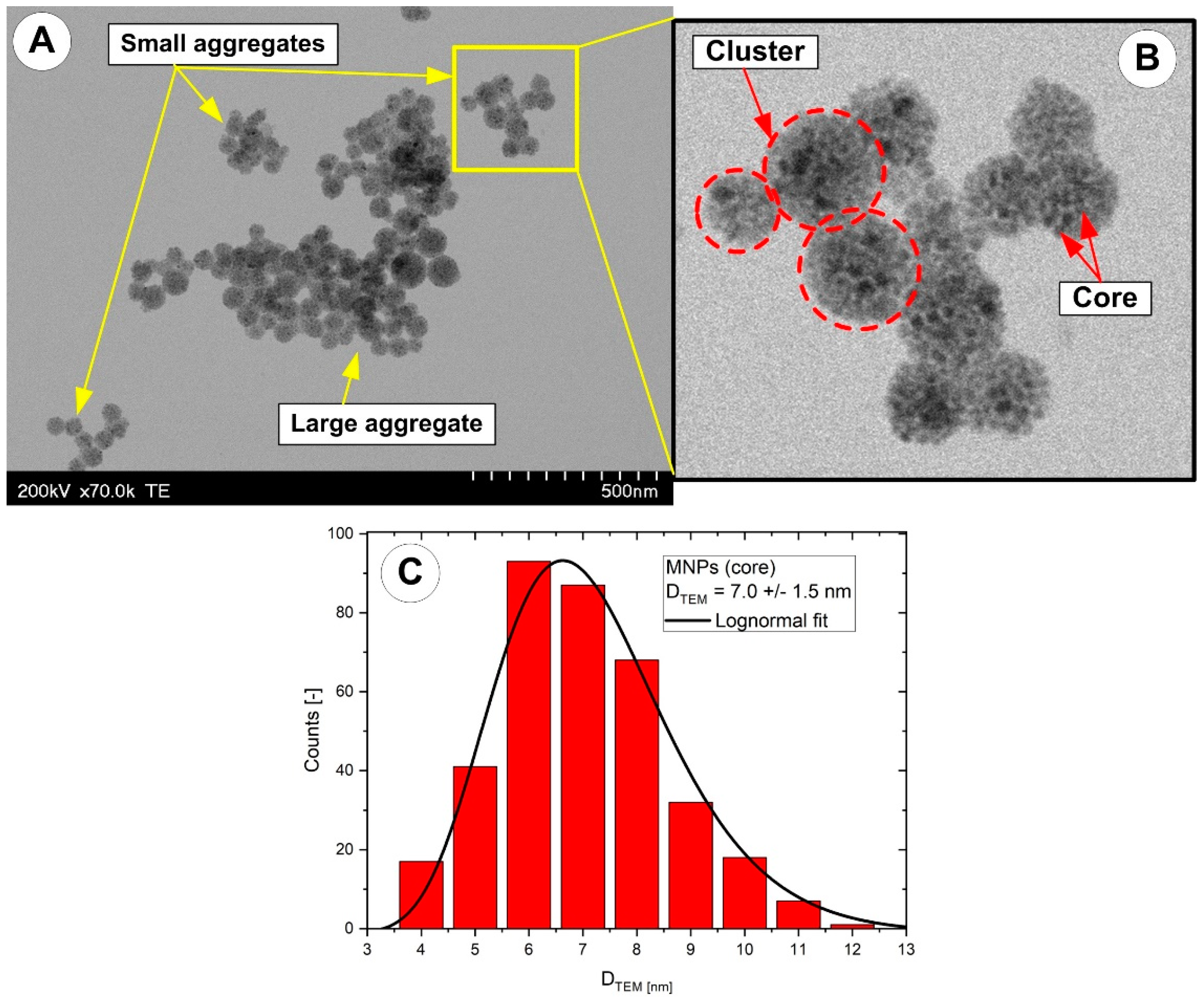 Pharmaceutics 15 02612 g003