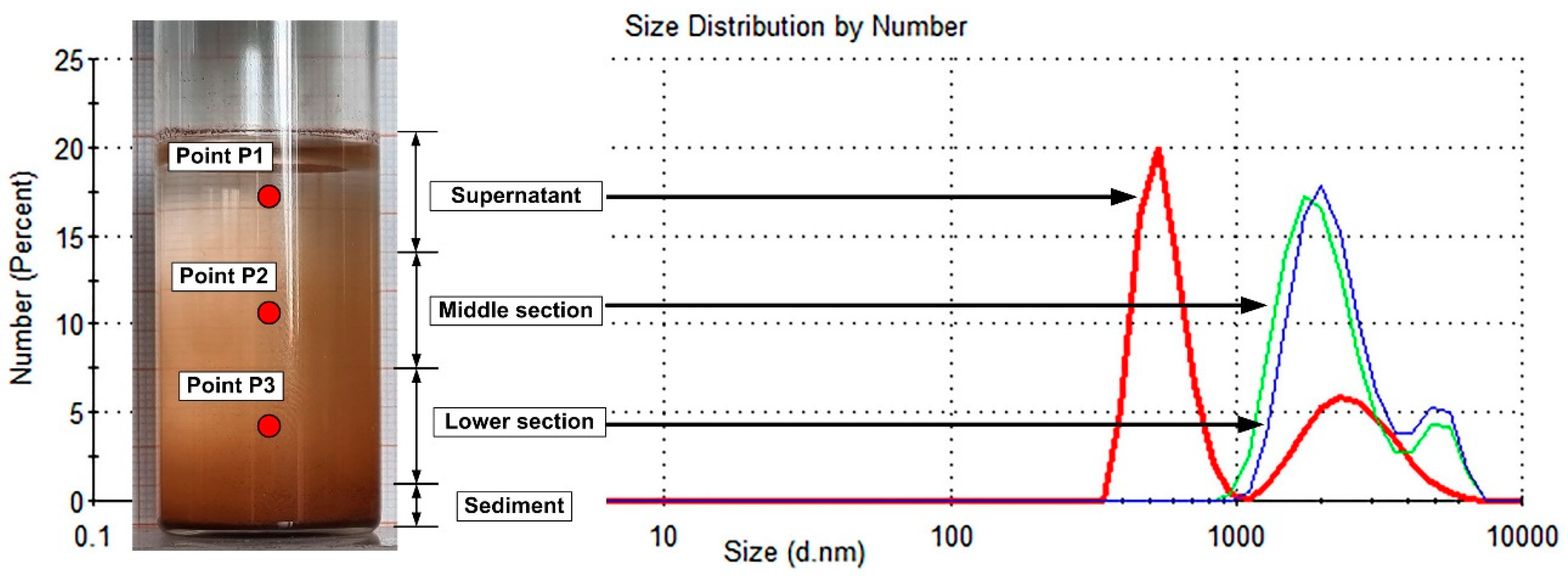 Pharmaceutics 15 02612 g005