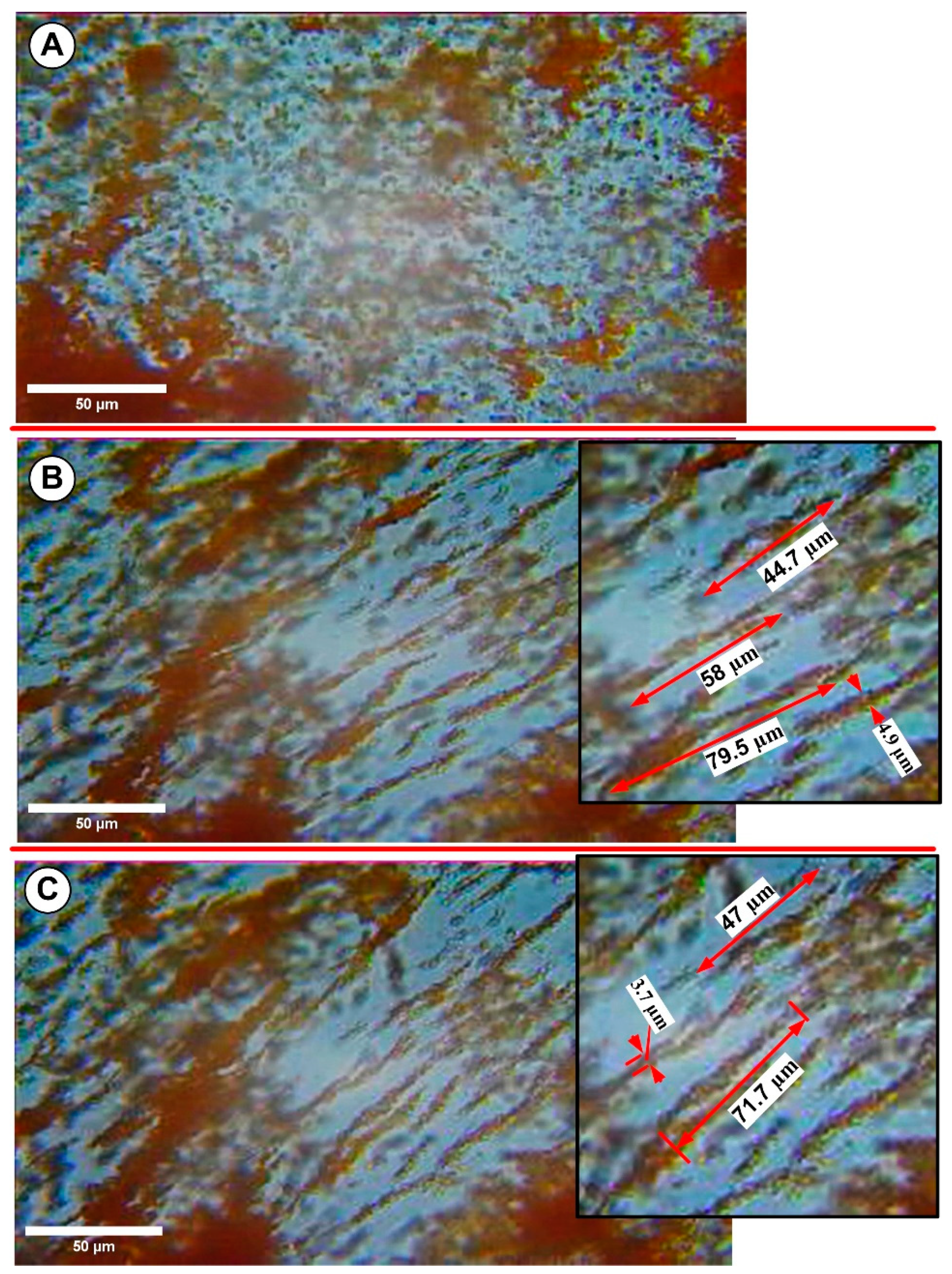 Pharmaceutics 15 02612 g010