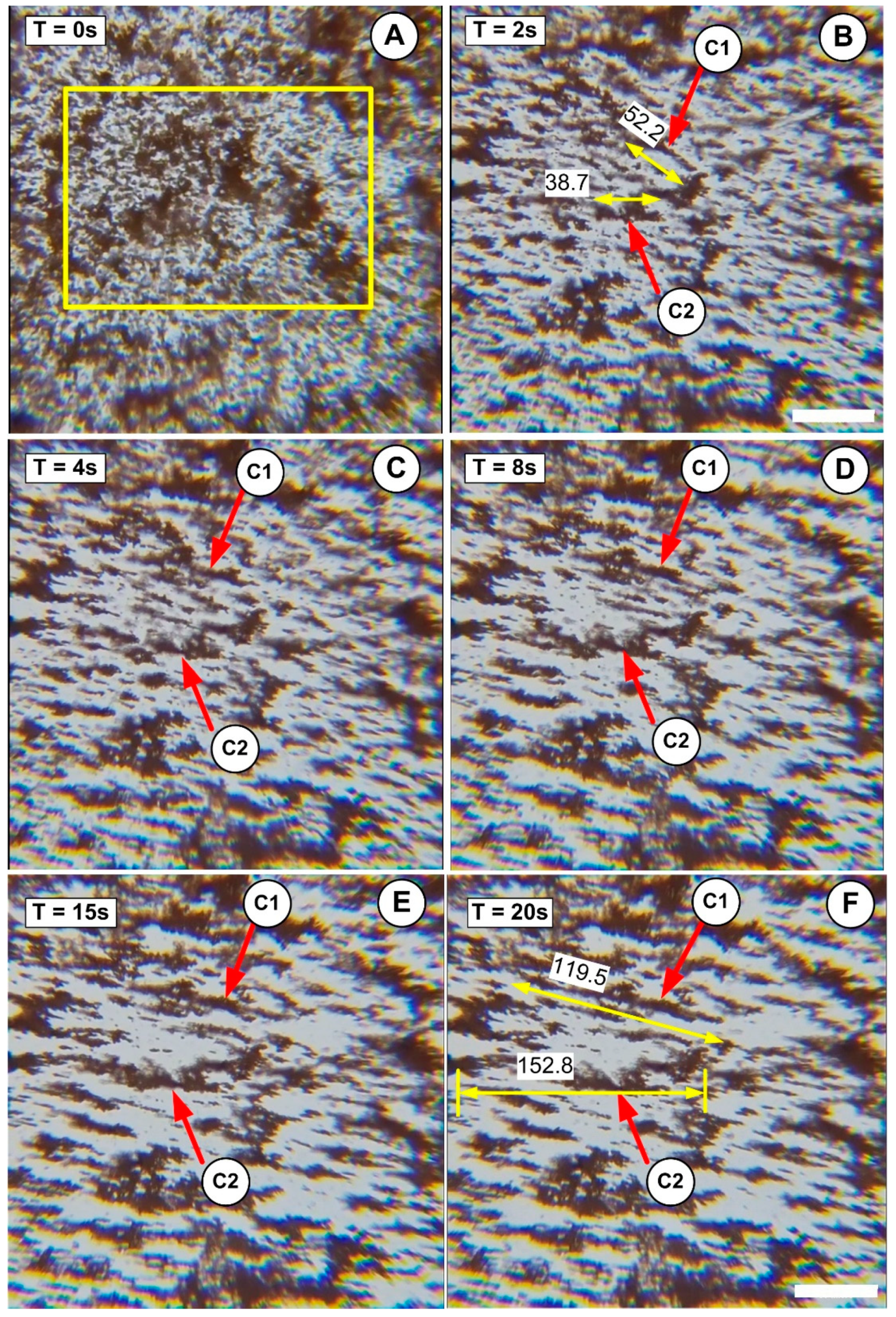 Pharmaceutics 15 02612 g011