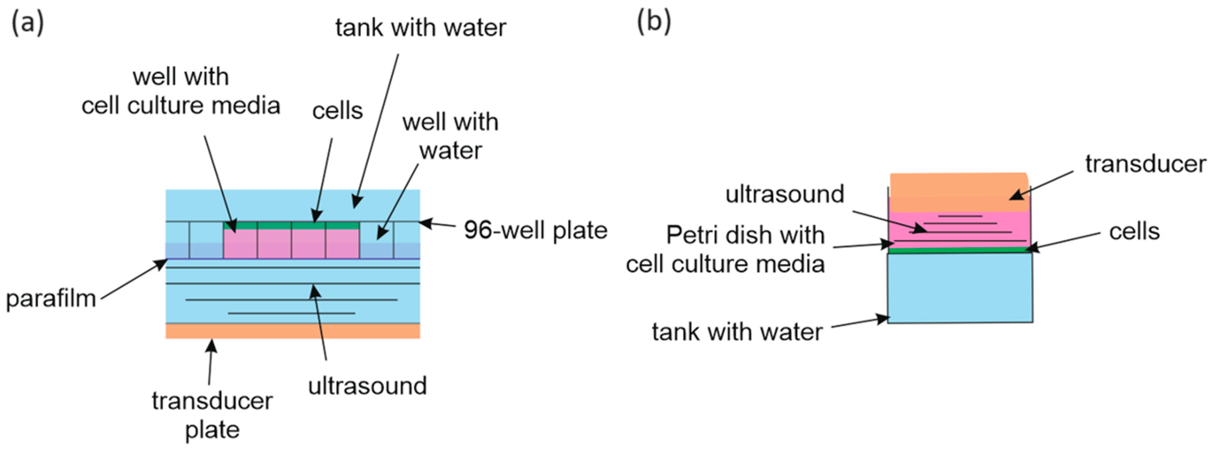 Pharmaceutics 15 02616 g001