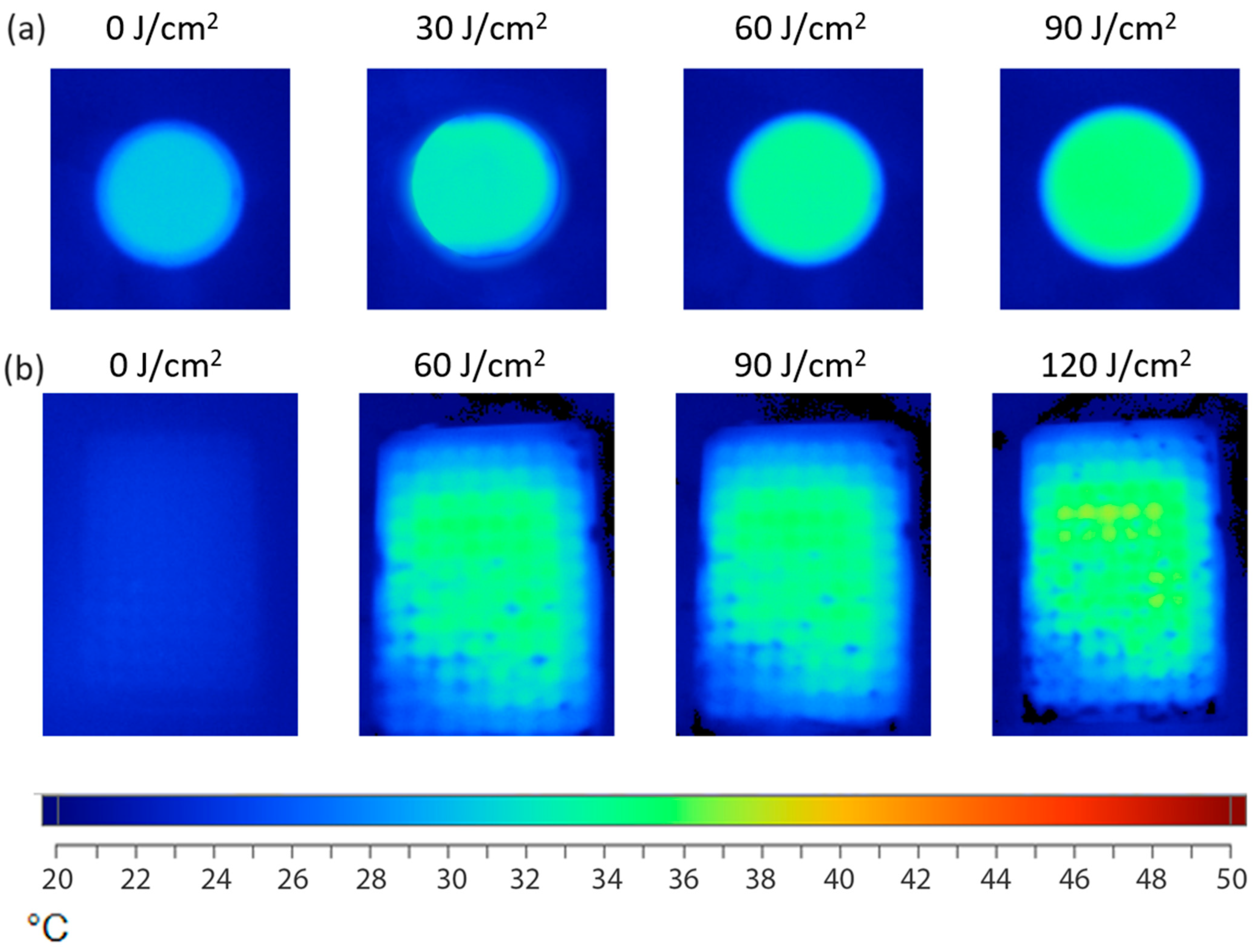 Pharmaceutics 15 02616 g005