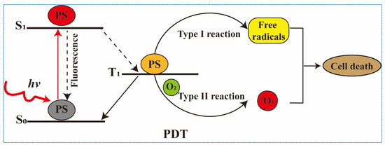 Photodynamic Therapy-Induced Anti-Tumor Immunity: Influence Photodynamic Therapy-Induced Anti-Tumor Immunity: Influence