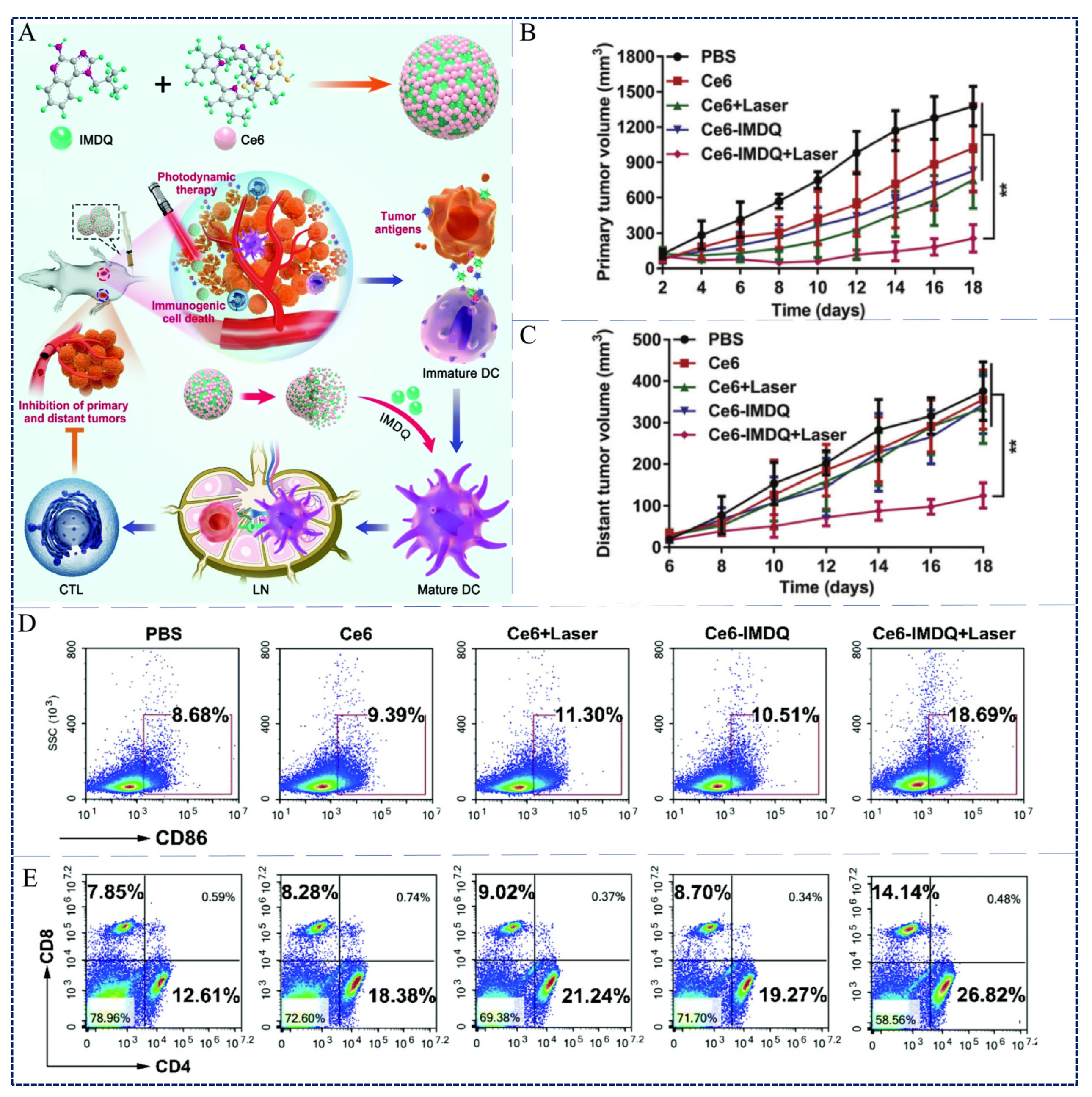Pharmaceutics 15 02617 g004
