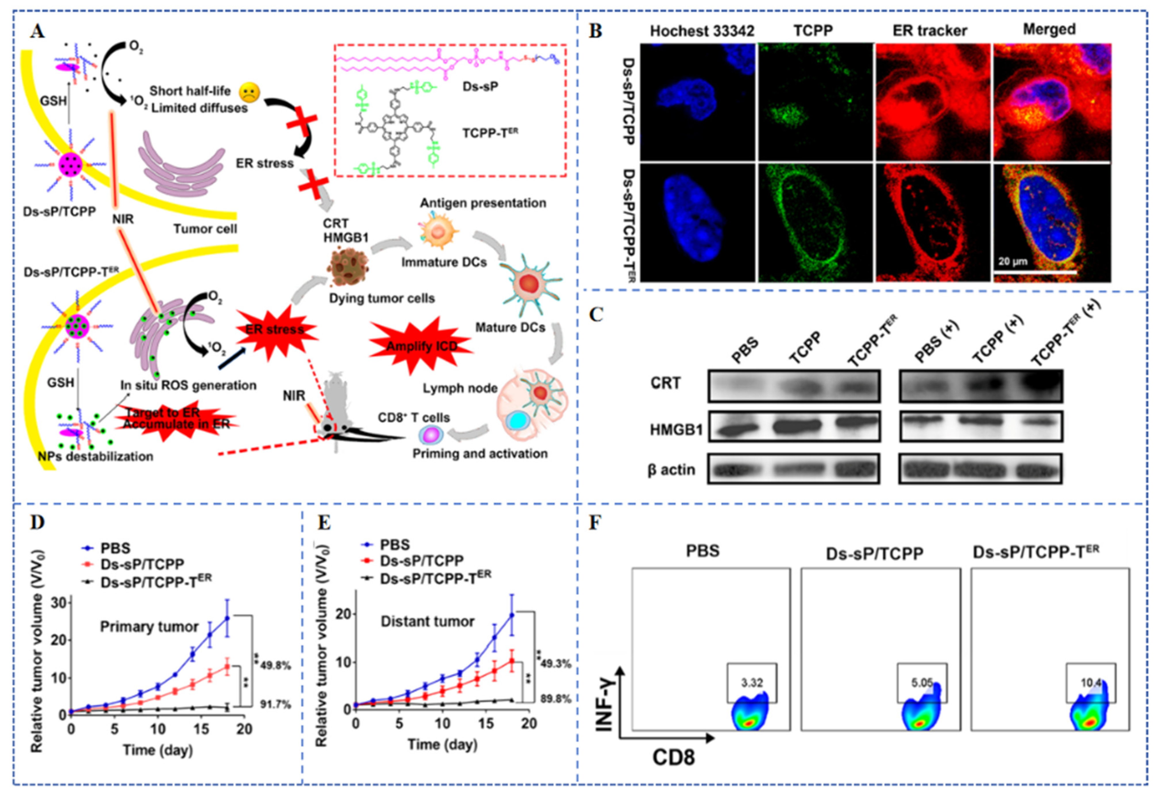 Pharmaceutics 15 02617 g005