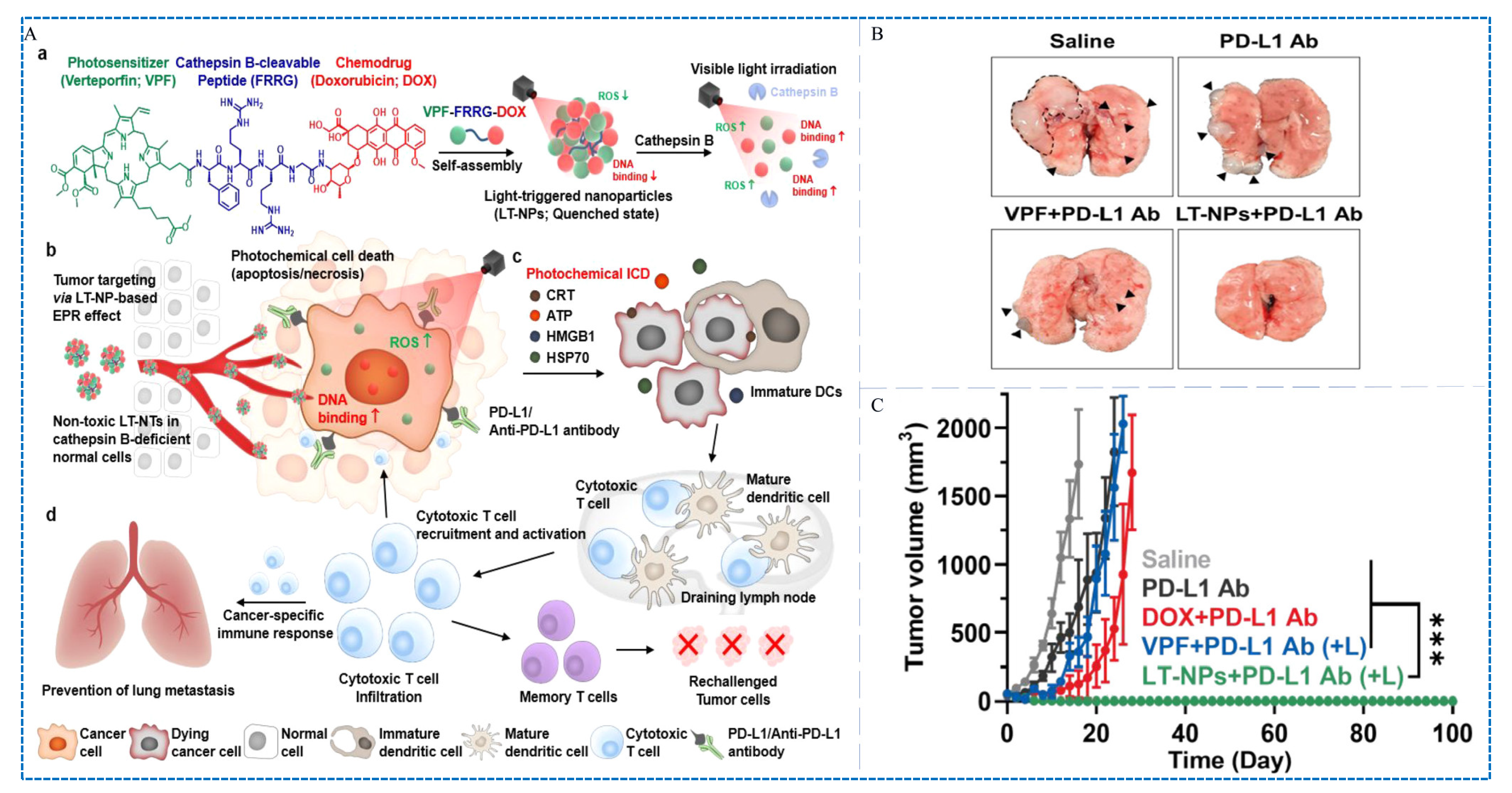 Pharmaceutics 15 02617 g009