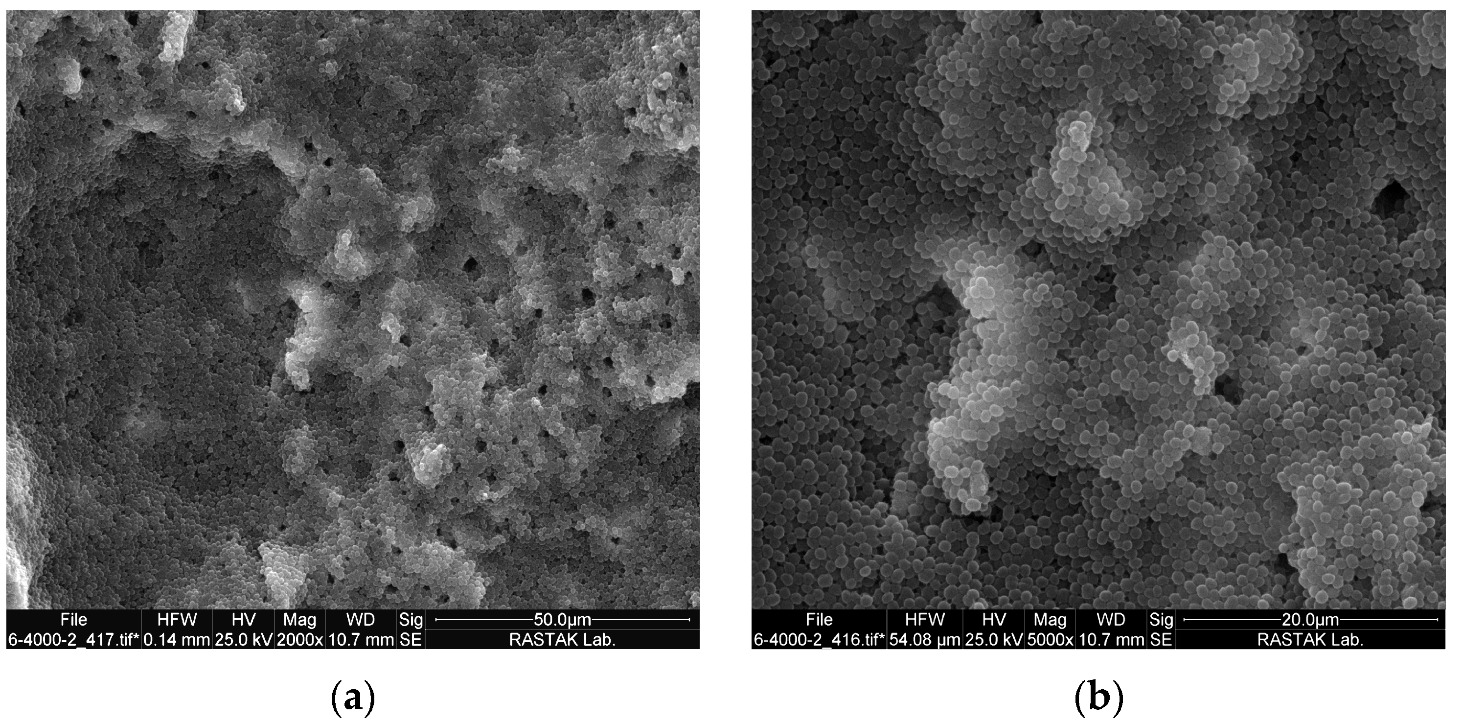 Pharmaceutics 15 02628 g002