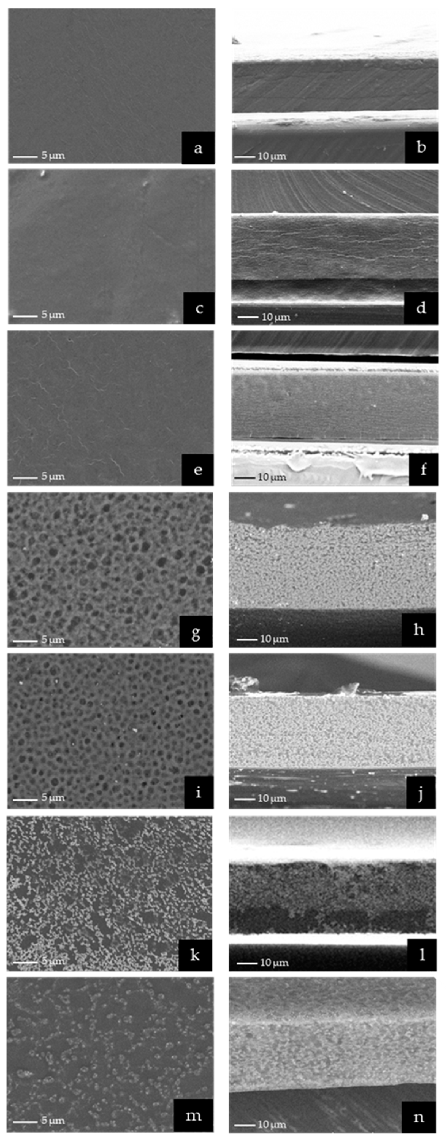 Pharmaceutics 15 02631 g004 Pharmaceutics 15 02631 g004