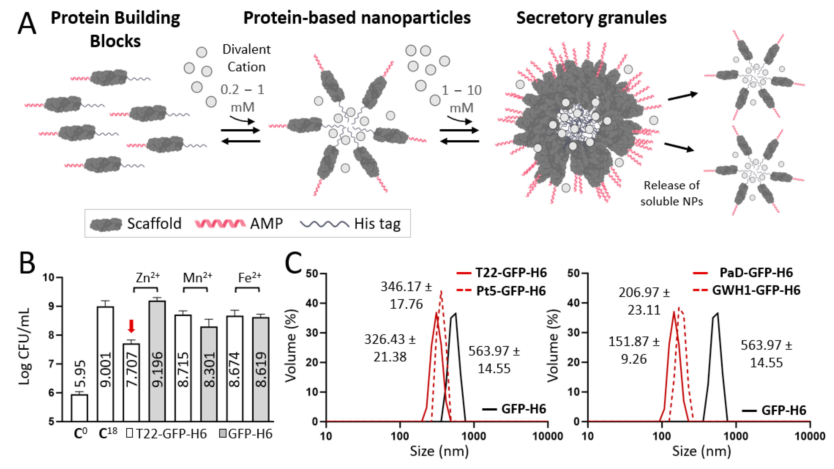 Pharmaceutics 15 02632 g002a
