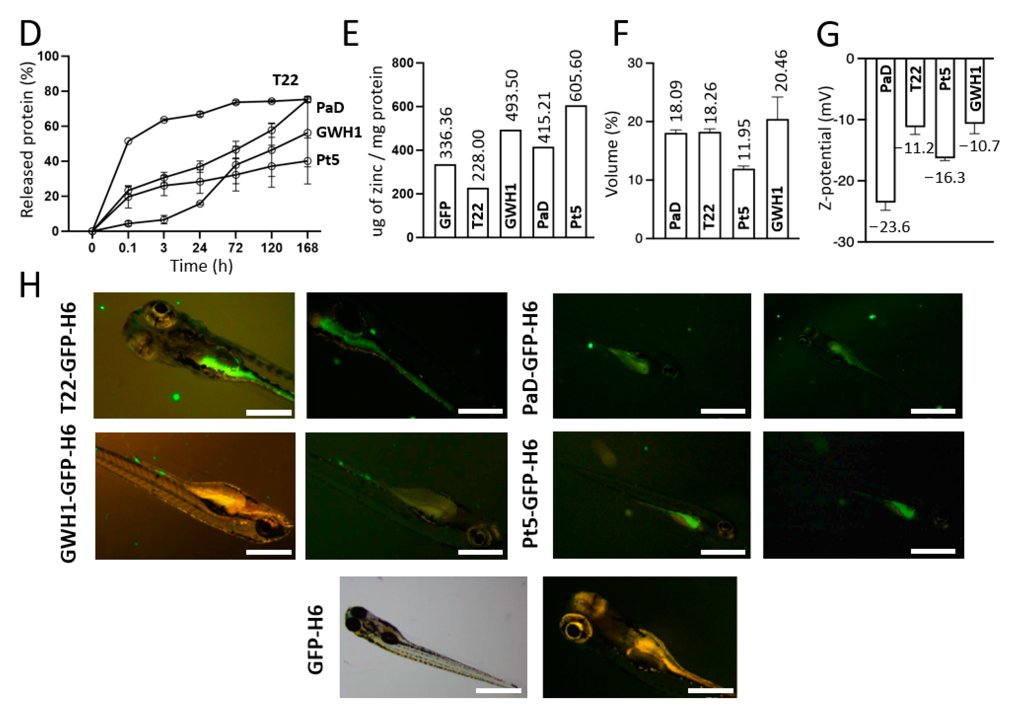 Pharmaceutics 15 02632 g002b
