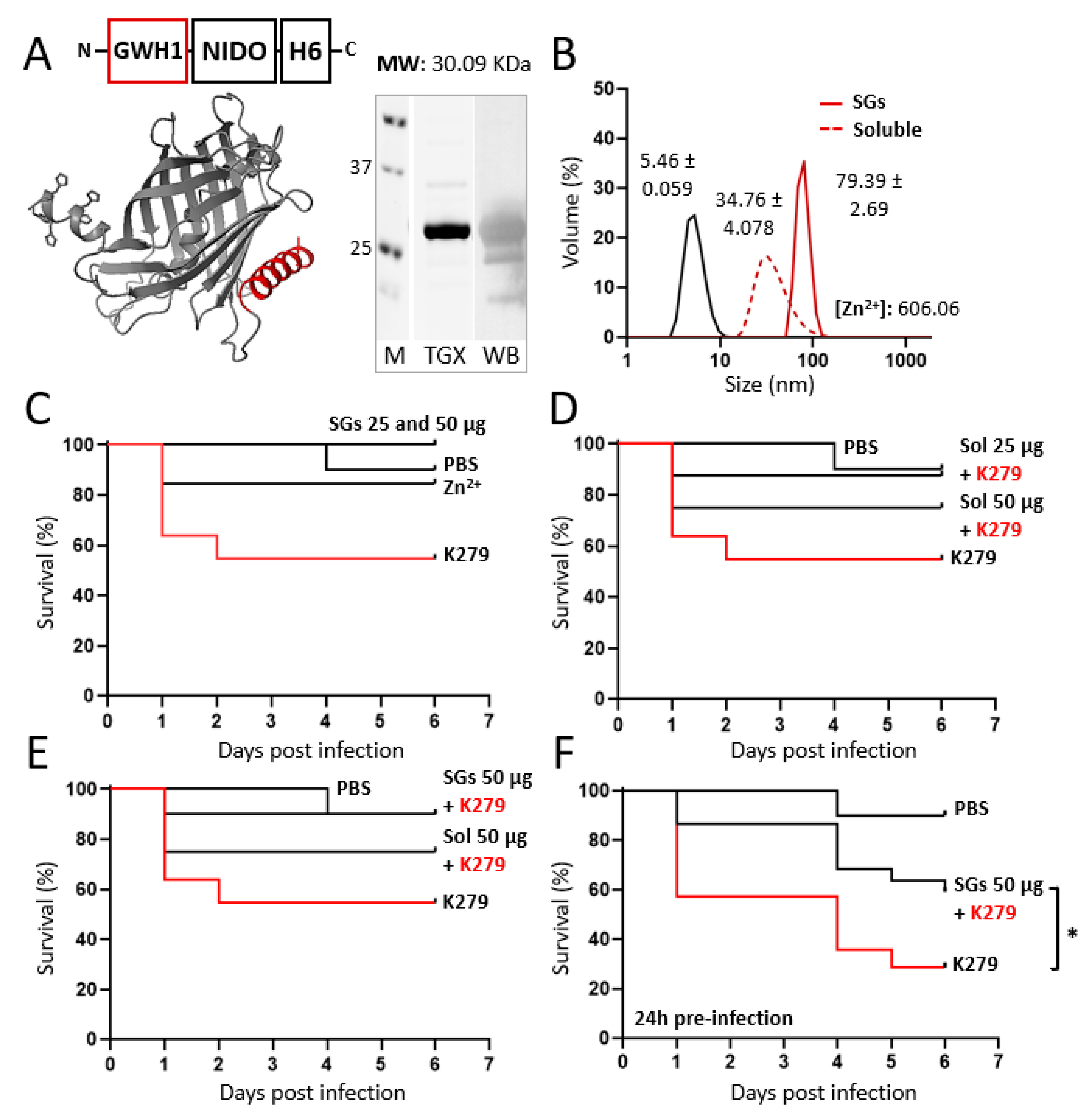 Pharmaceutics 15 02632 g003