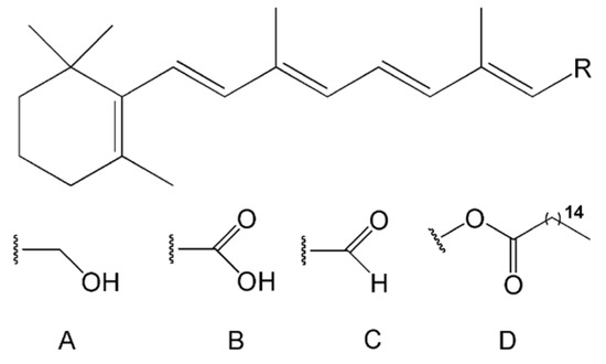Carbohydrate Core–Shell Electrosprayed Microcapsules for Enhanced ...