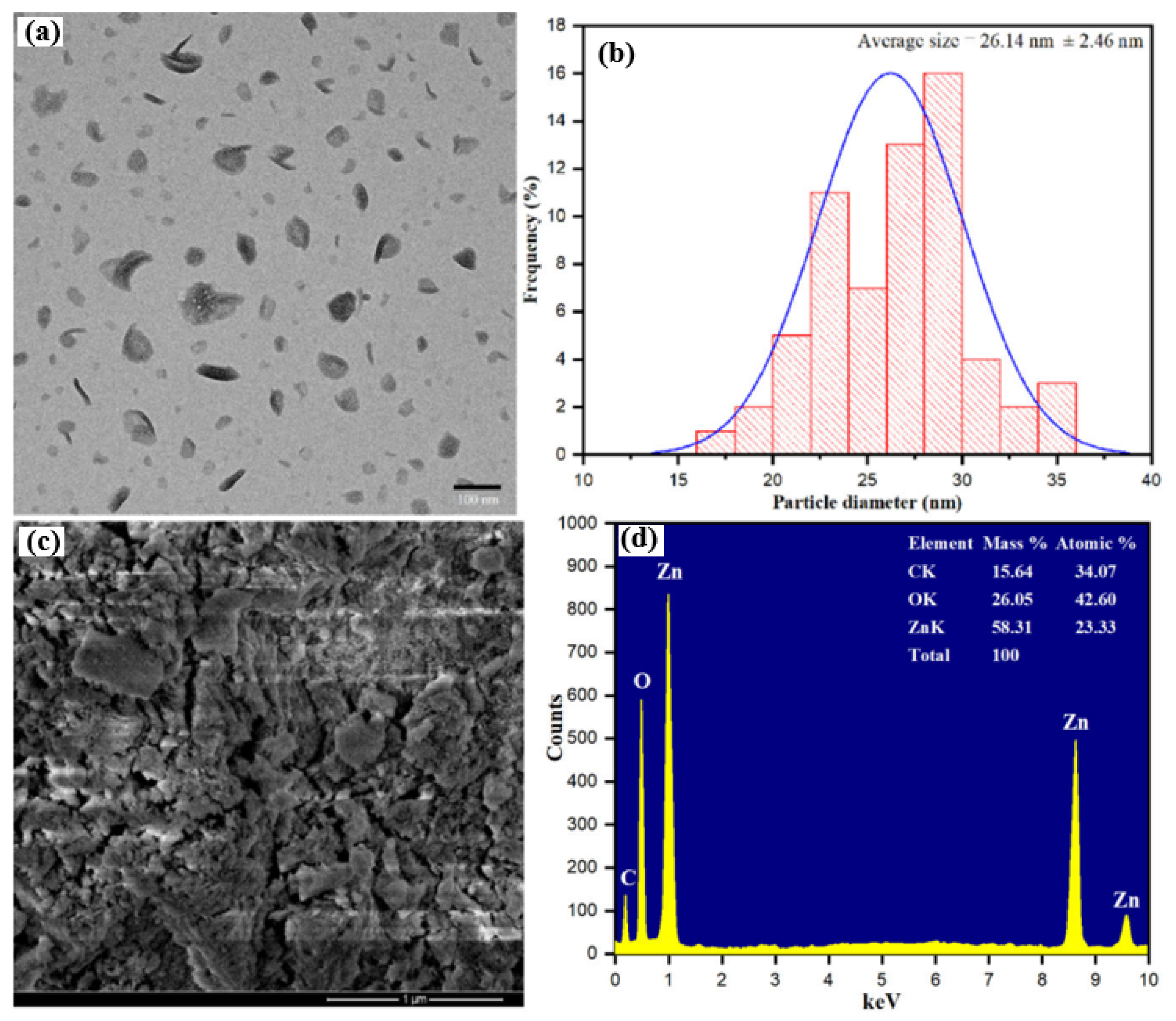 Pharmaceutics 15 02634 g003
