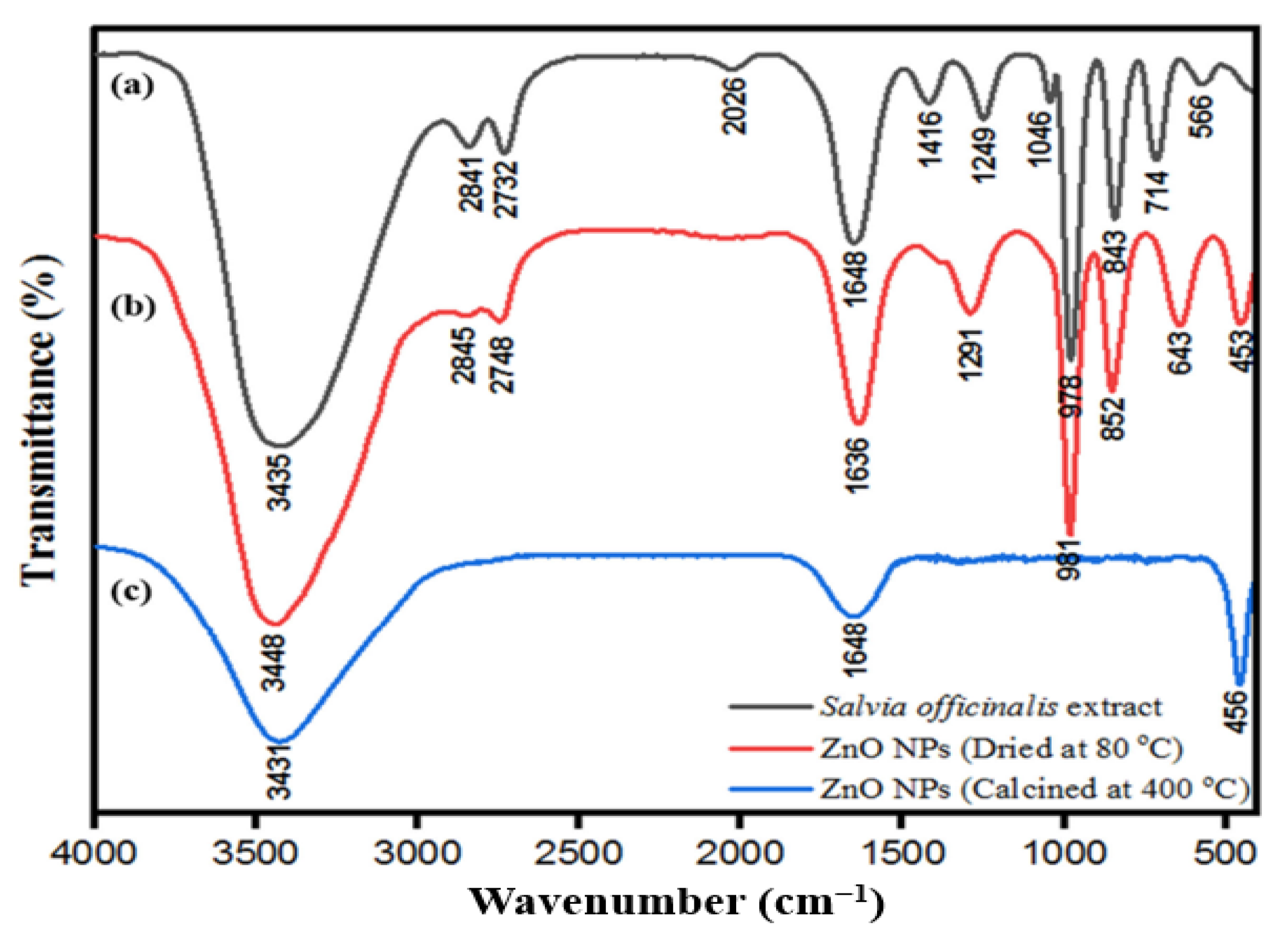 Pharmaceutics 15 02634 g004