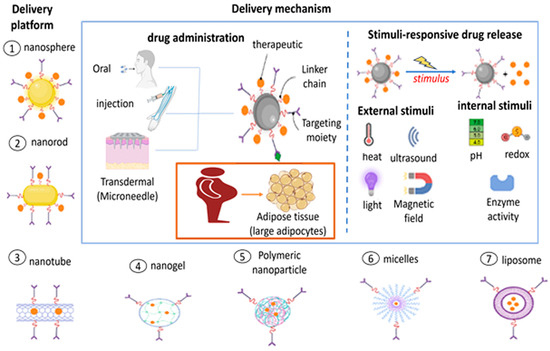 Anti-Obesity Drug Delivery Systems: Recent Progress and Challenges