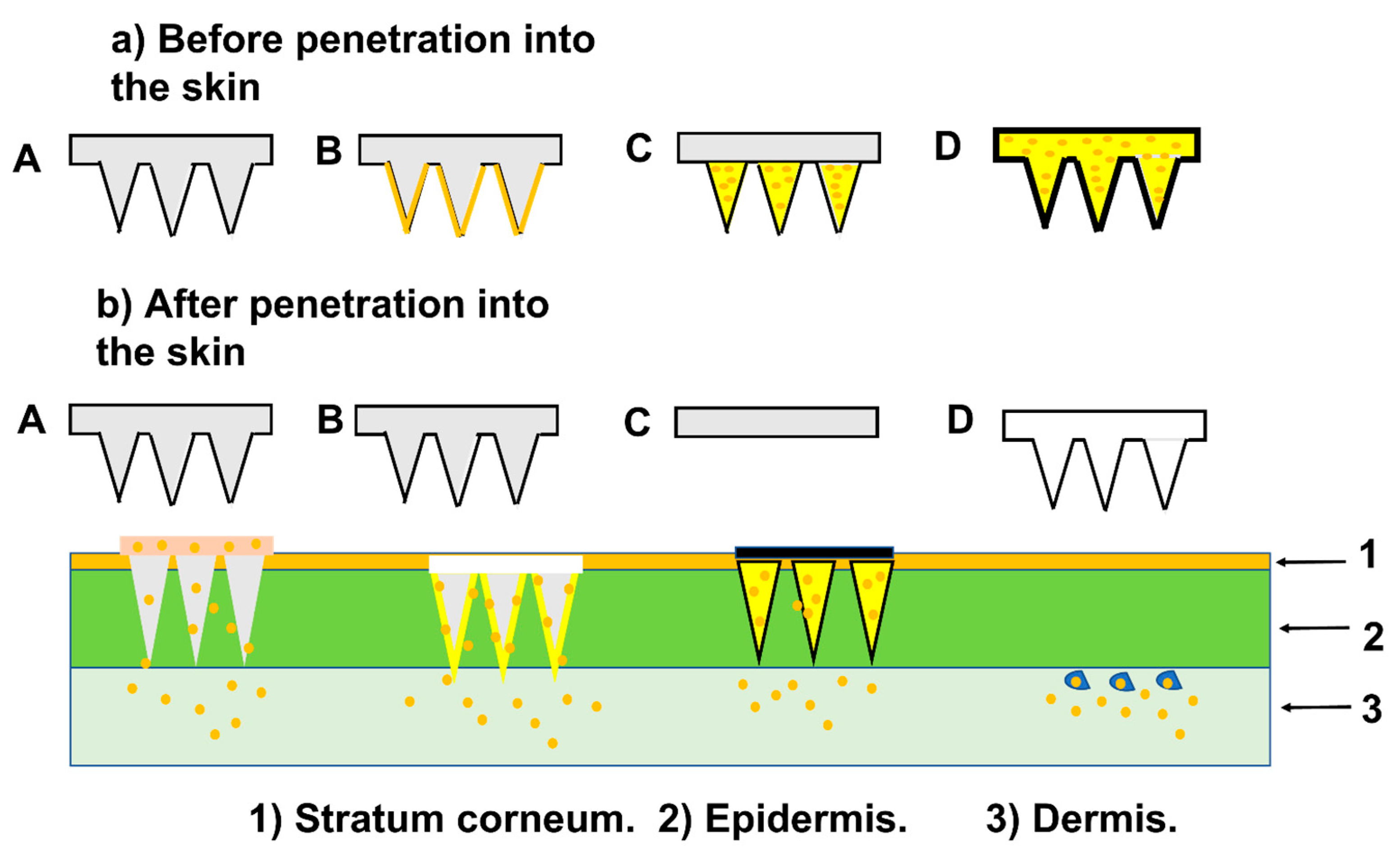 Pharmaceutics 15 02635 g006