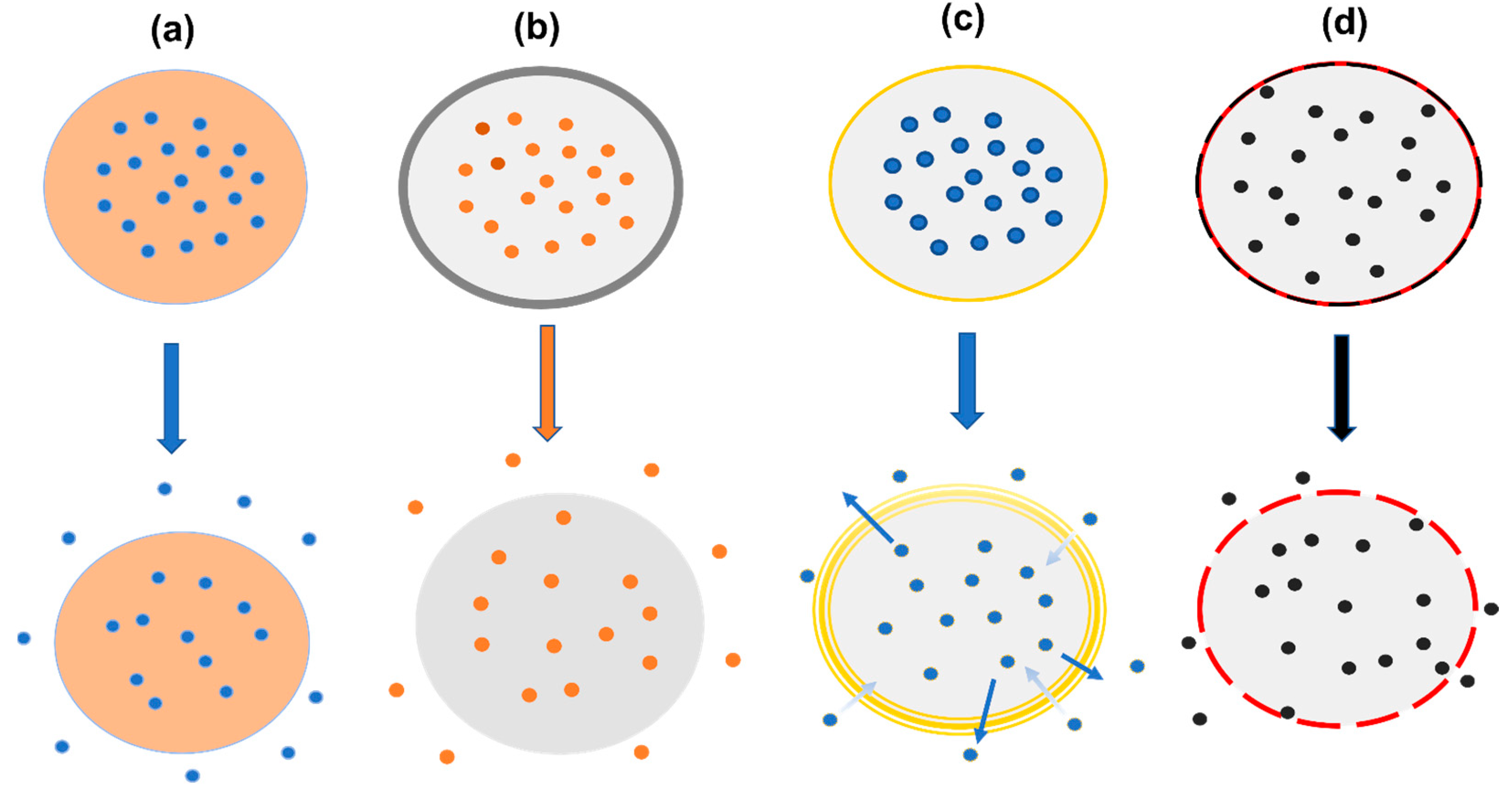 Pharmaceutics 15 02635 g007