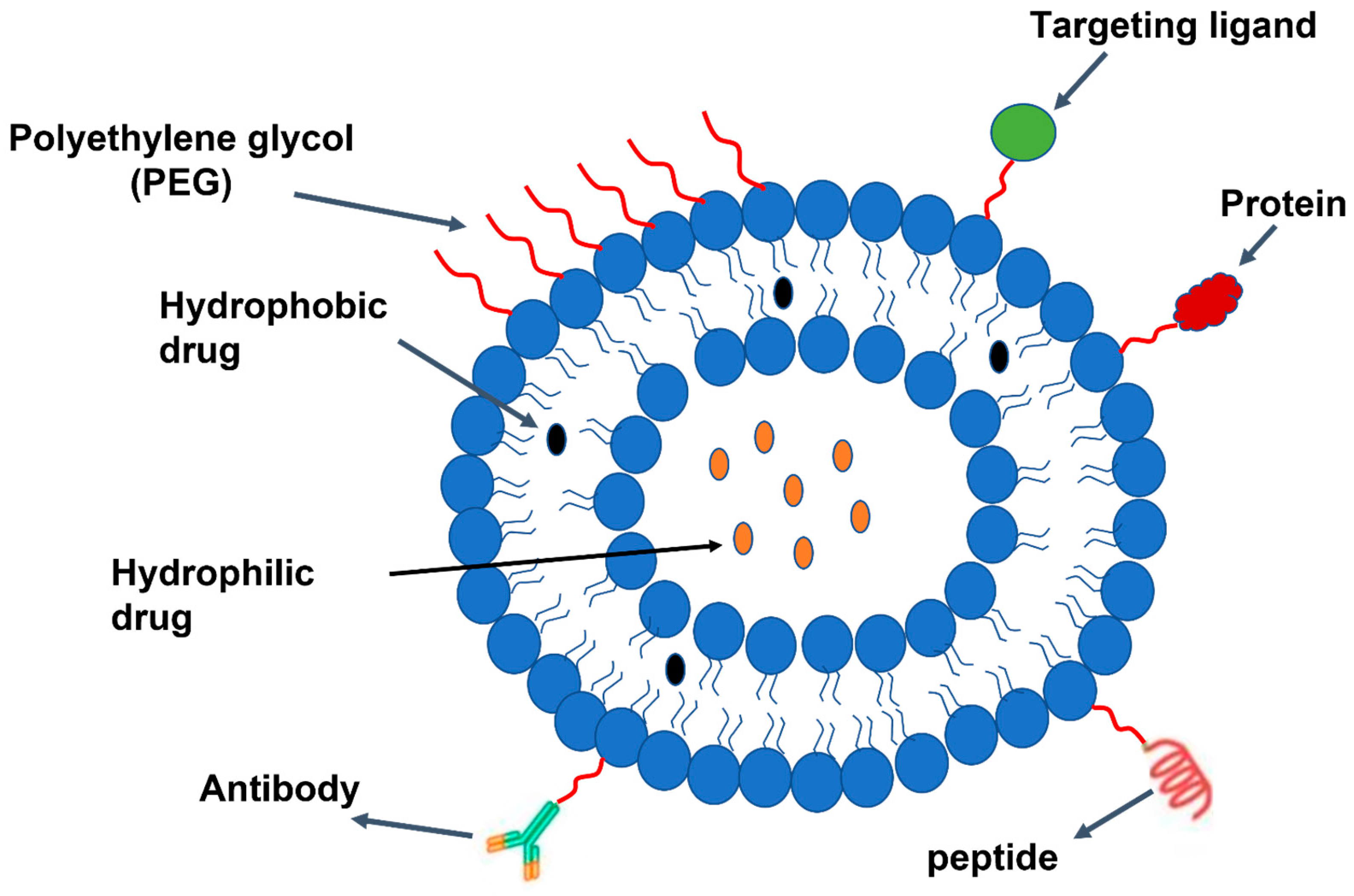 Pharmaceutics 15 02635 g008