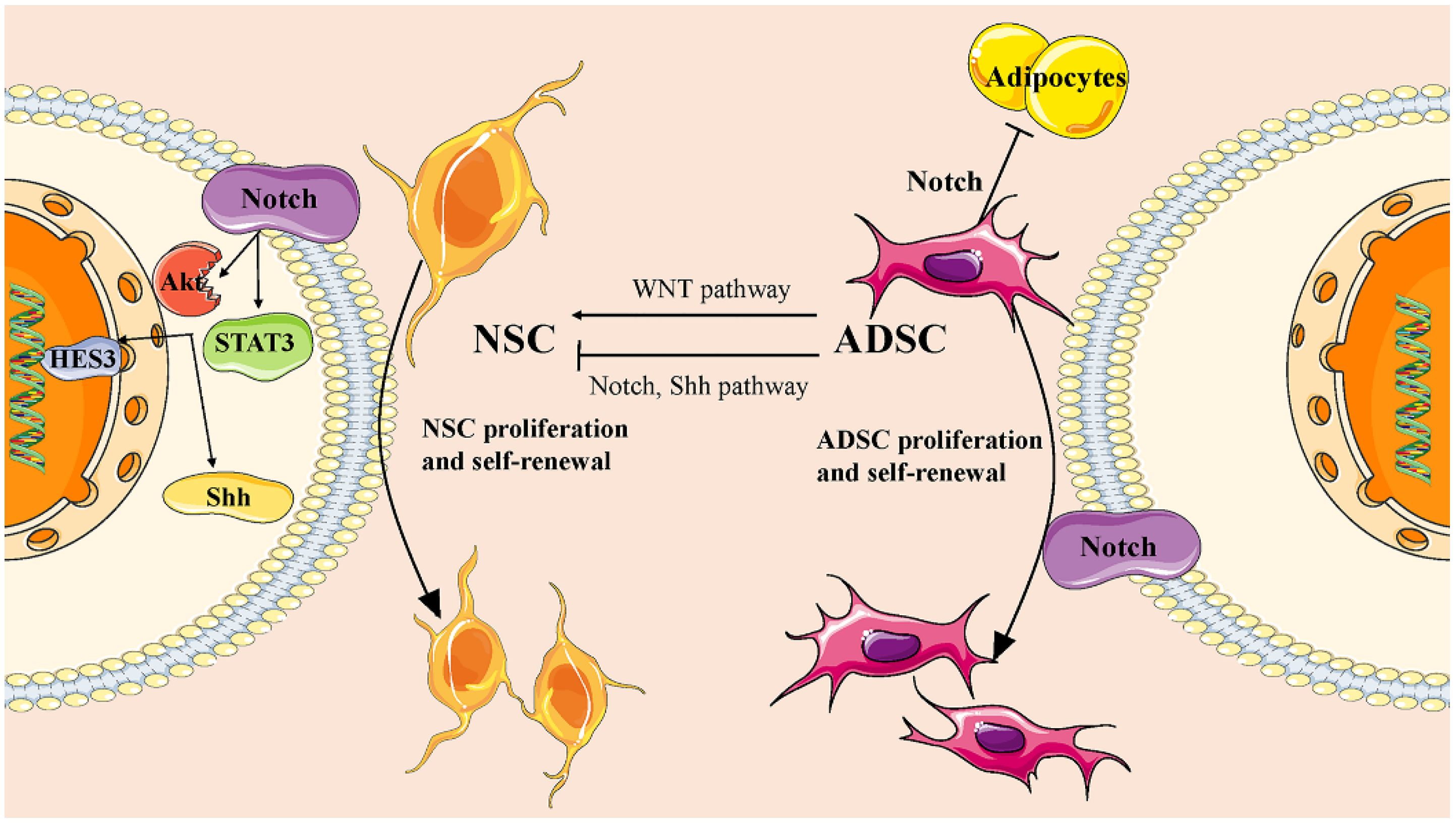 Pharmaceutics 15 02637 g001