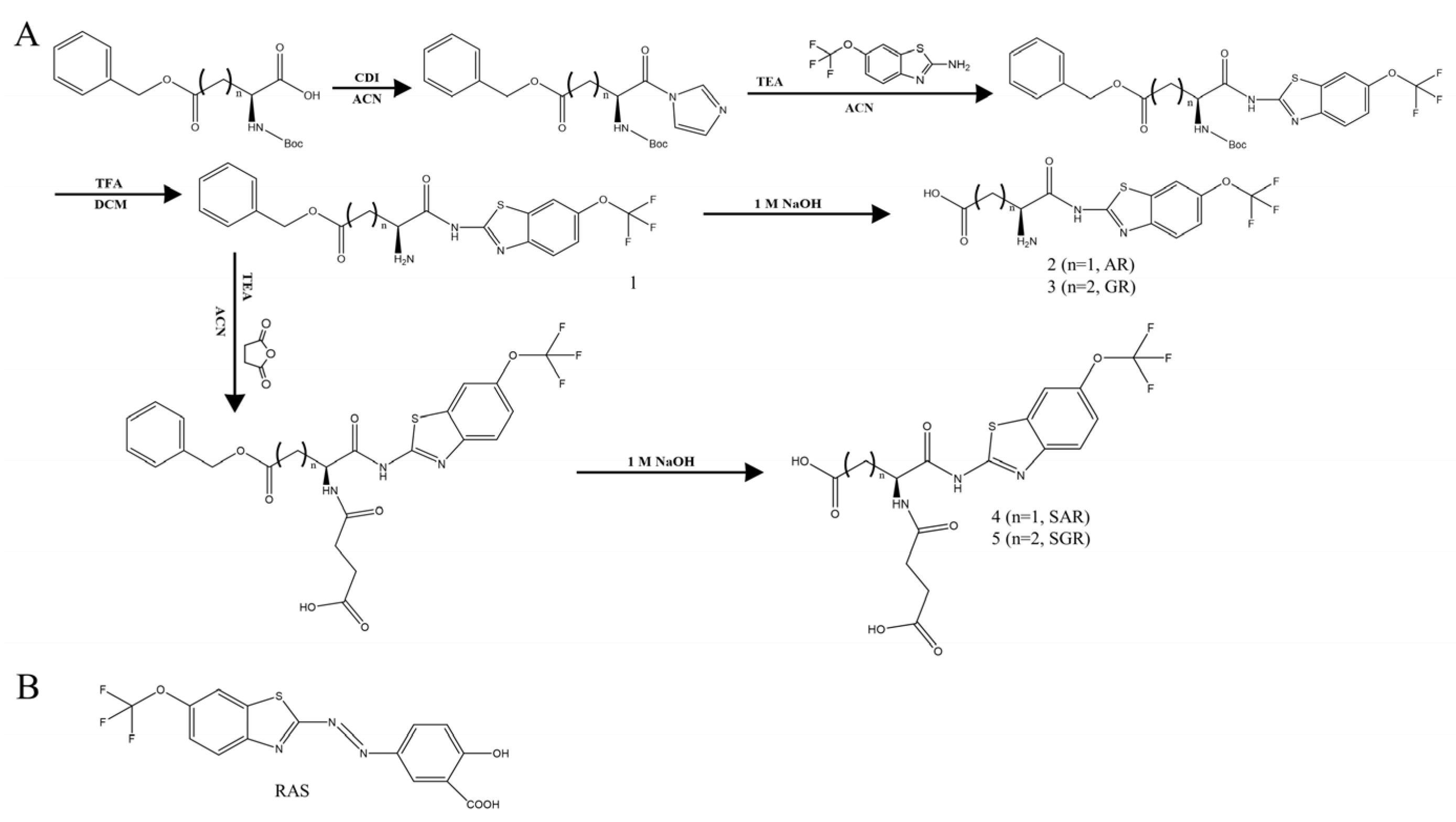 Pharmaceutics 15 02638 g001