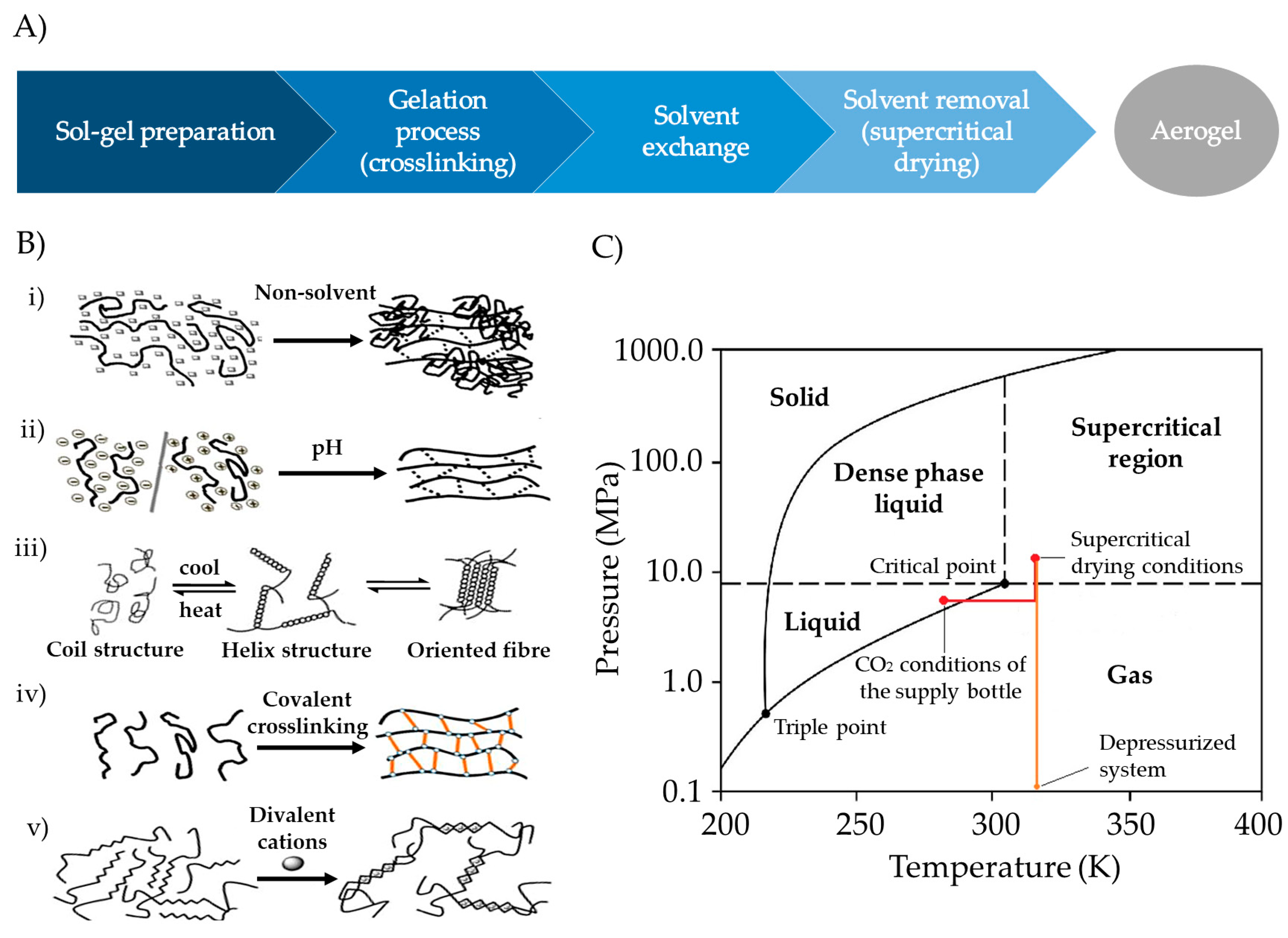 Pharmaceutics 15 02639 g006