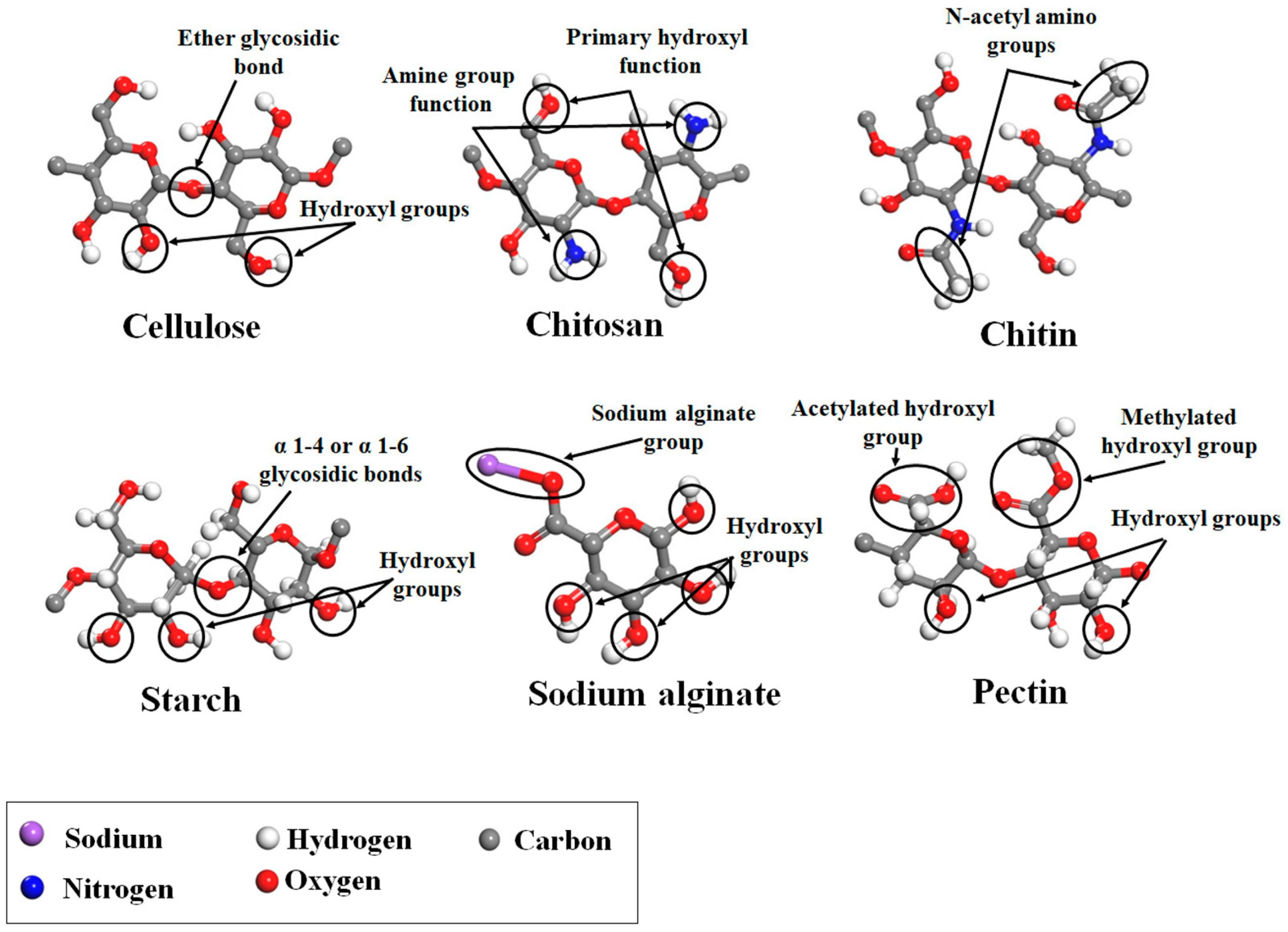 Pharmaceutics 15 02639 g008