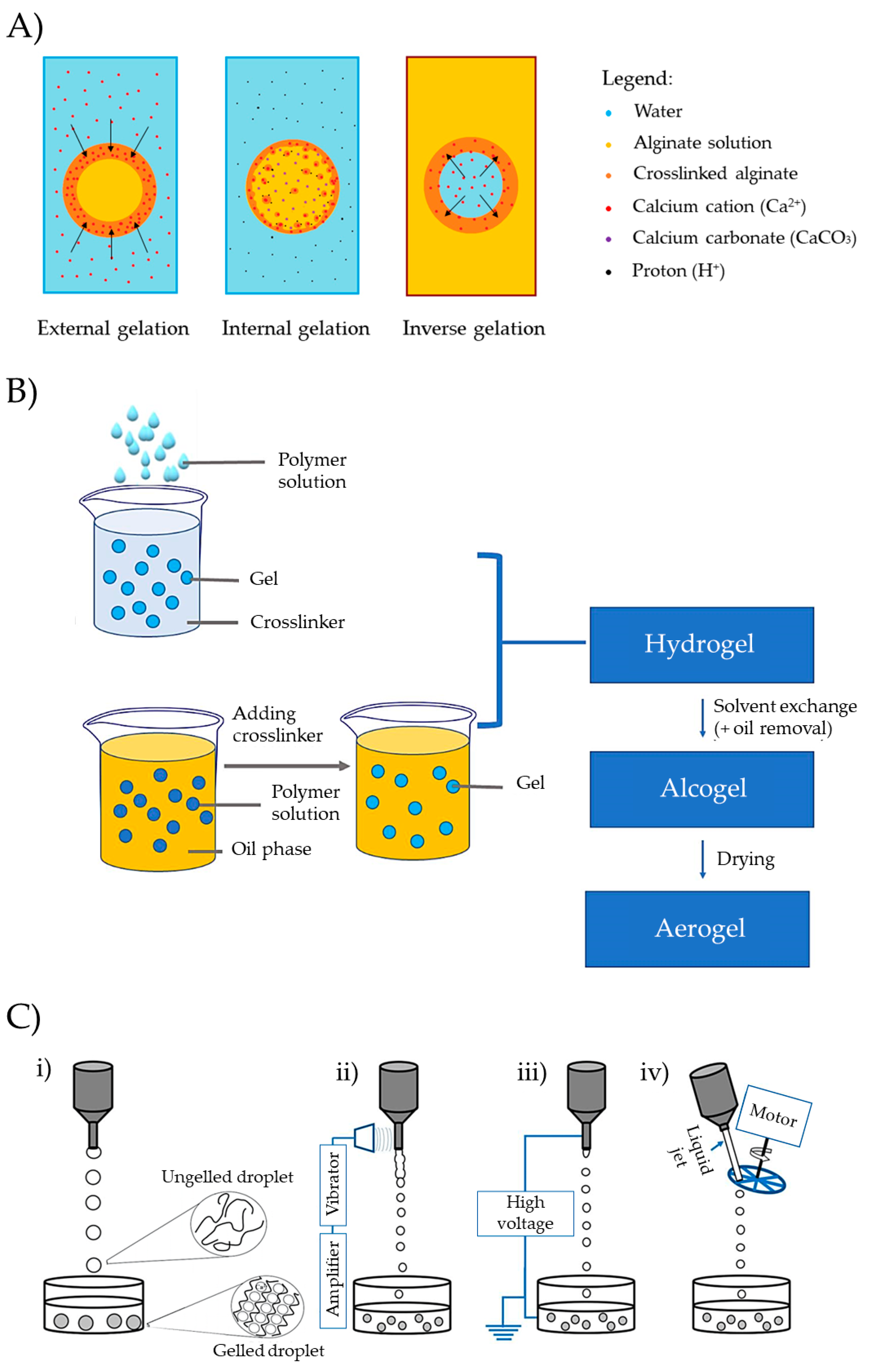 Pharmaceutics 15 02639 g009
